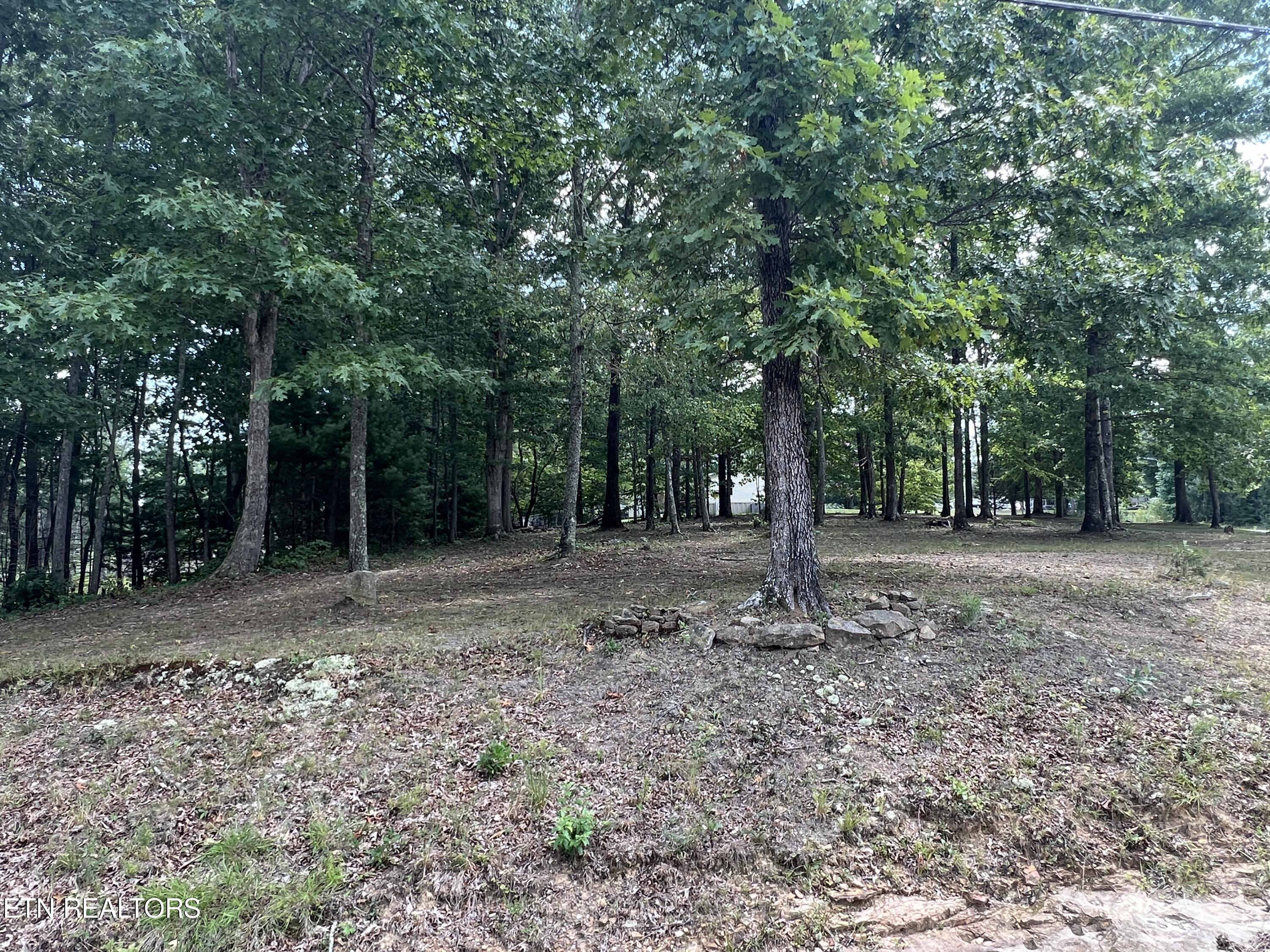 171 Dakota Trail Rockwood TN 37854