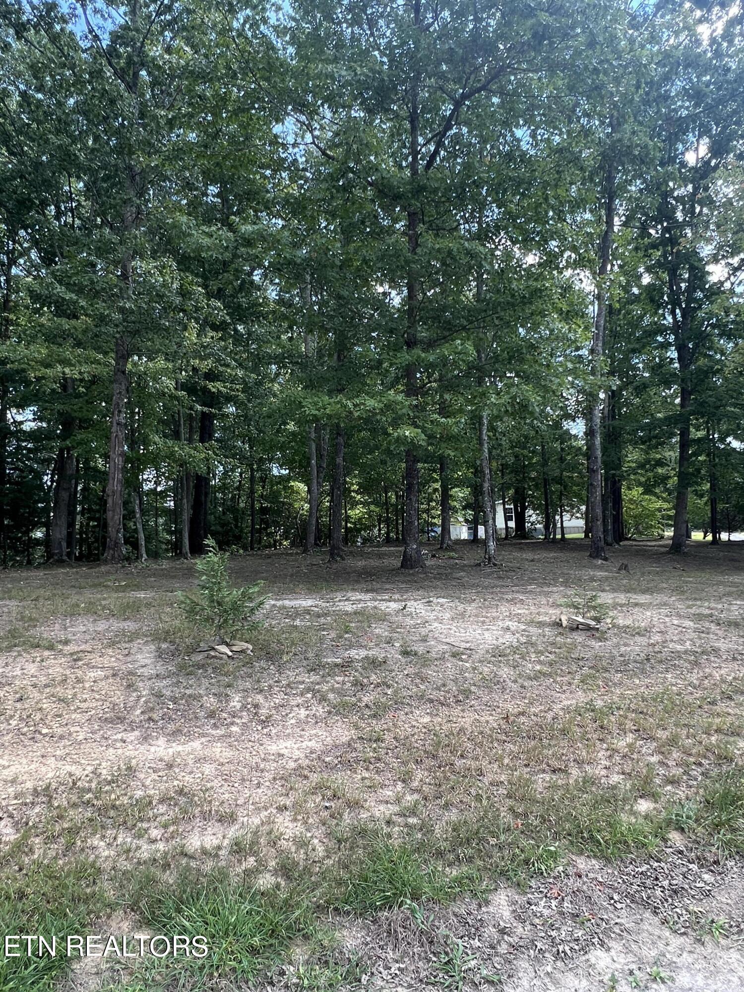 171 Dakota Trail Rockwood TN 37854