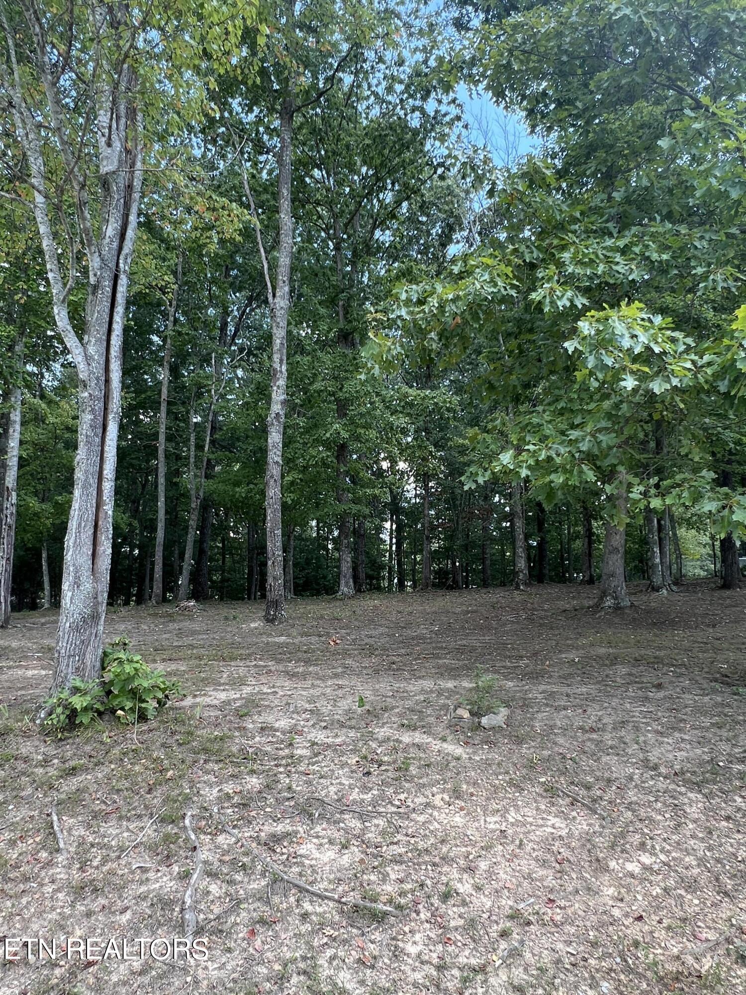 171 Dakota Trail Rockwood TN 37854