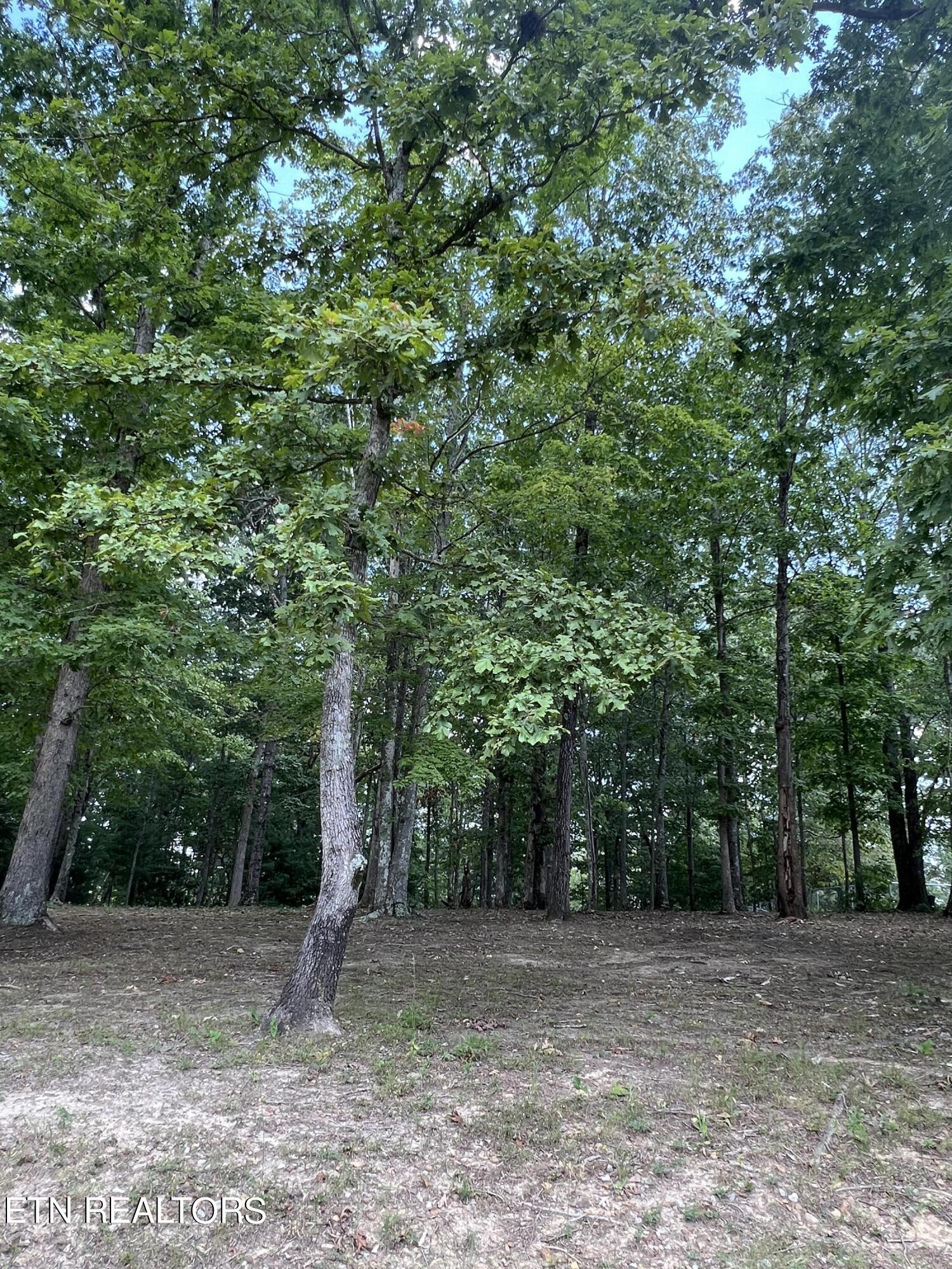 171 Dakota Trail Rockwood TN 37854