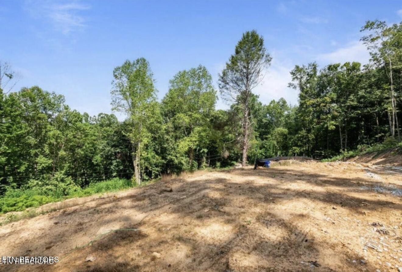 353 Walden Ridge Lane Caryville TN 37714