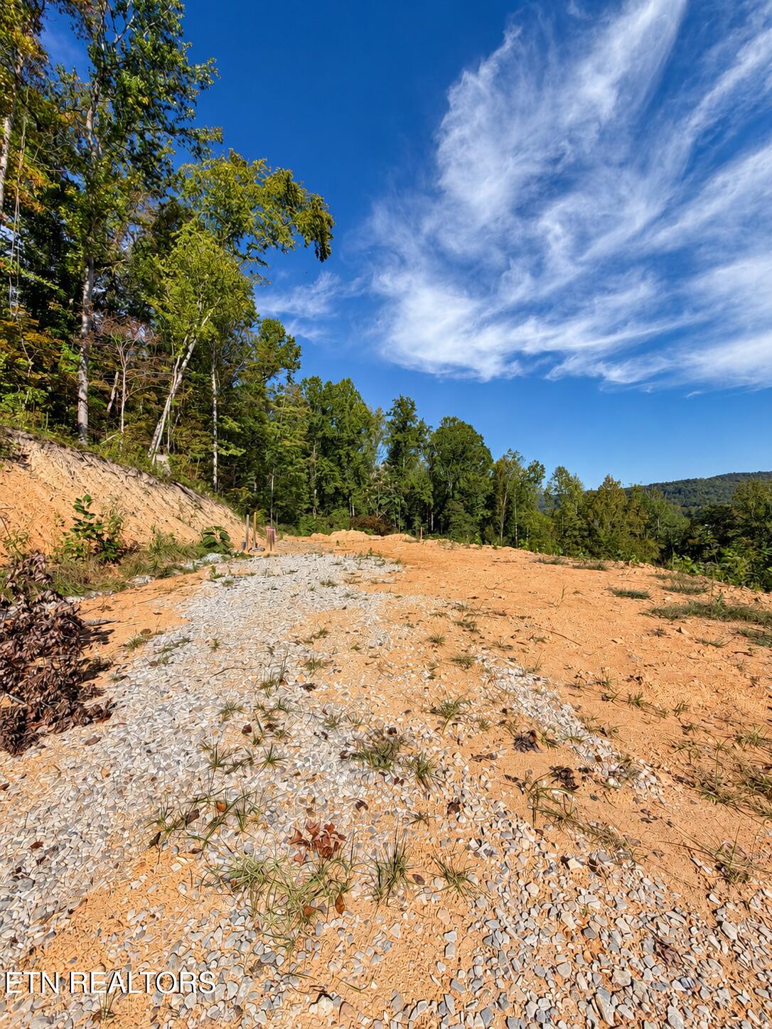 353 Walden Ridge Lane Caryville TN 37714