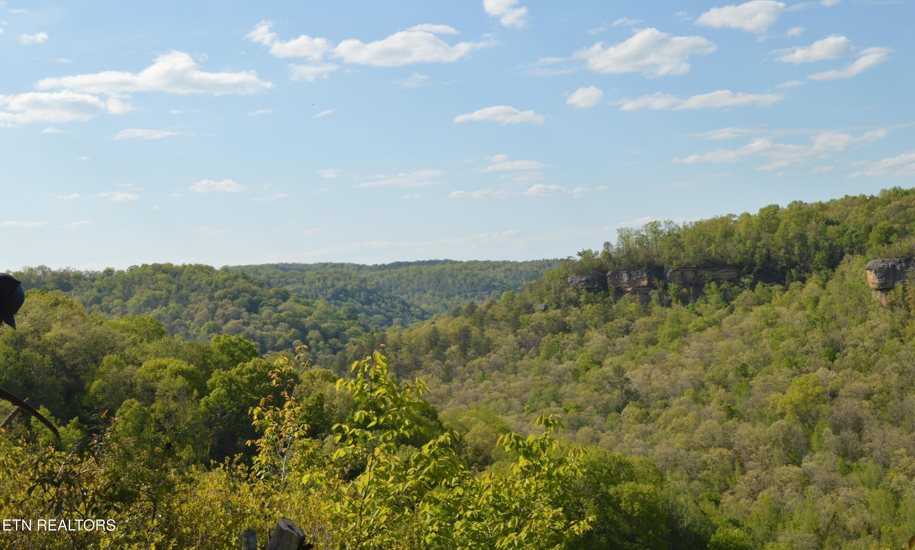 1501 Rob Watson Road Oneida TN 37841