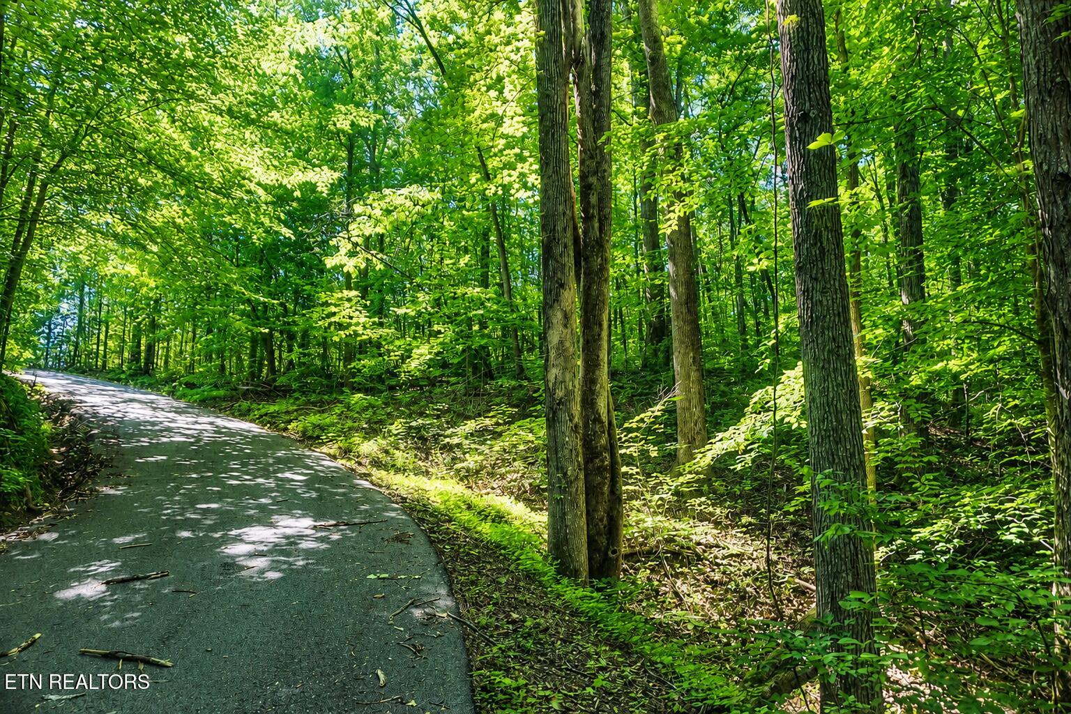 0 Dudley Drive Sevierville TN 37876