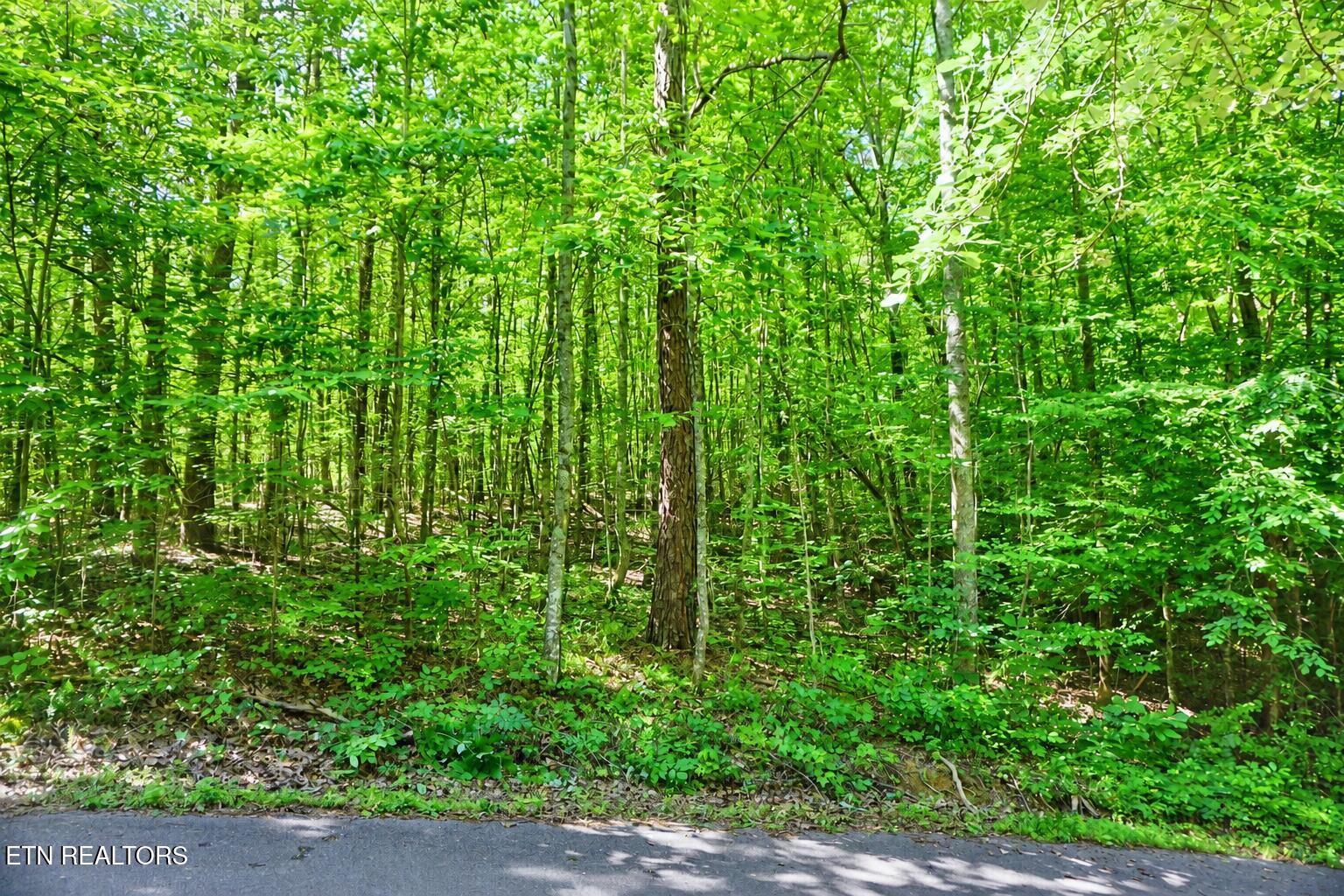 0 Dudley Drive Sevierville TN 37876
