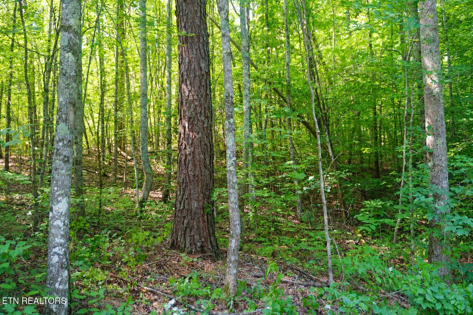 0 Dudley Drive Sevierville TN 37876