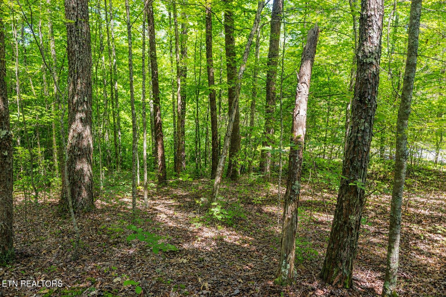 0 Dudley Drive Sevierville TN 37876
