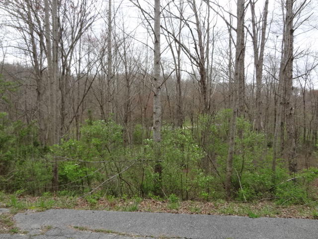 Eugene Court Crossville TN 38555