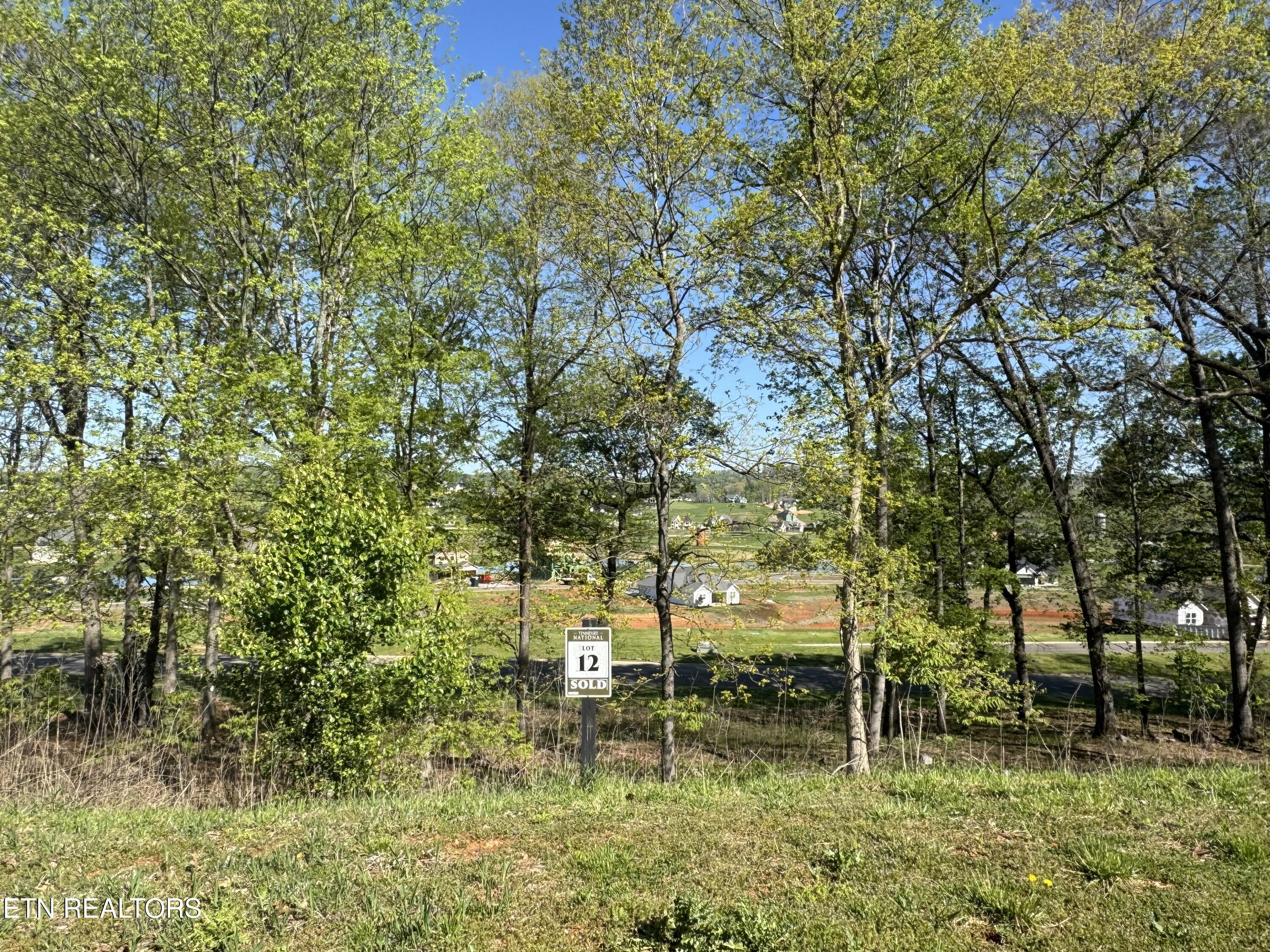 1097 Black Cove Lane Loudon TN 37774