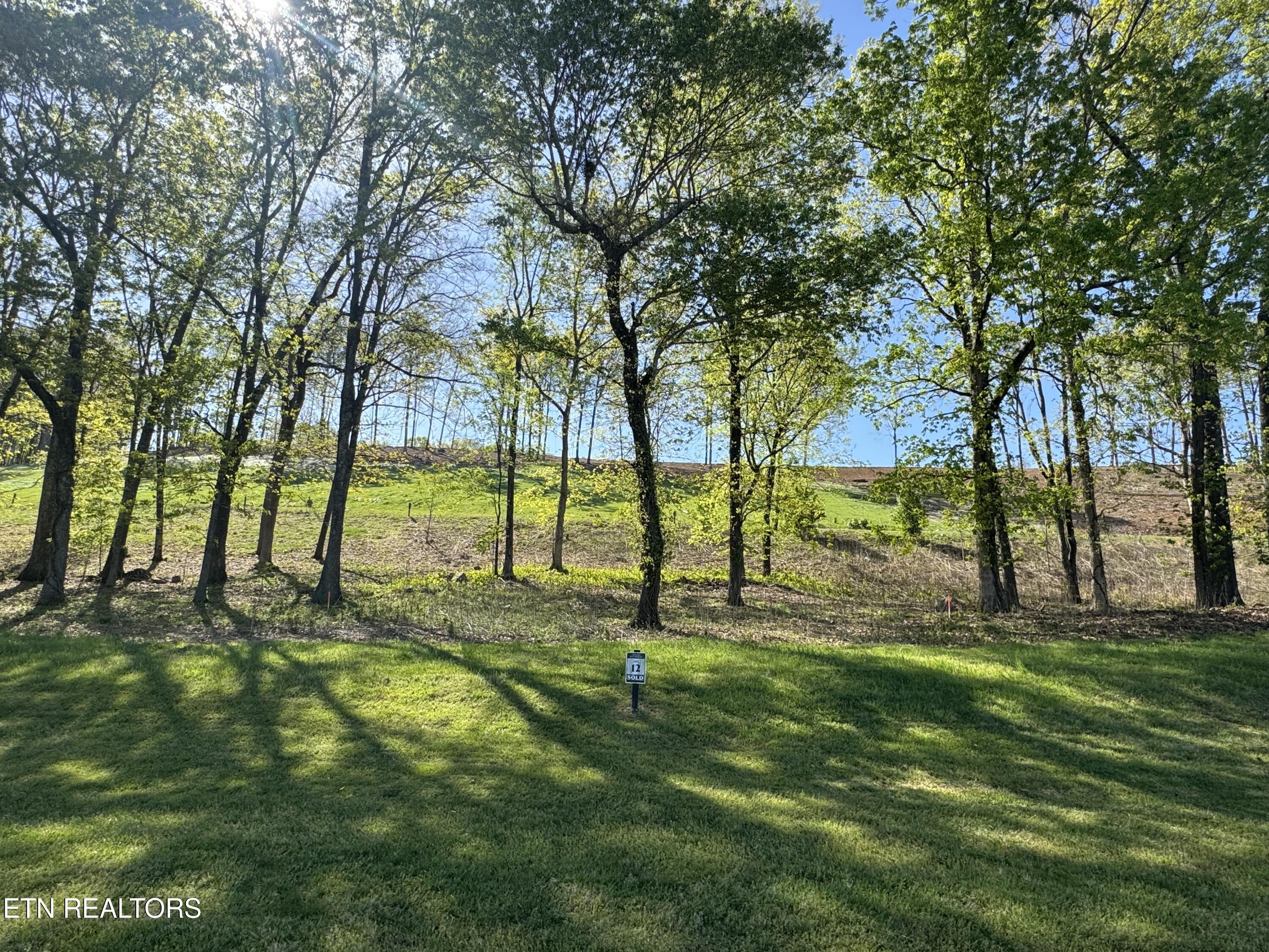 1097 Black Cove Lane Loudon TN 37774