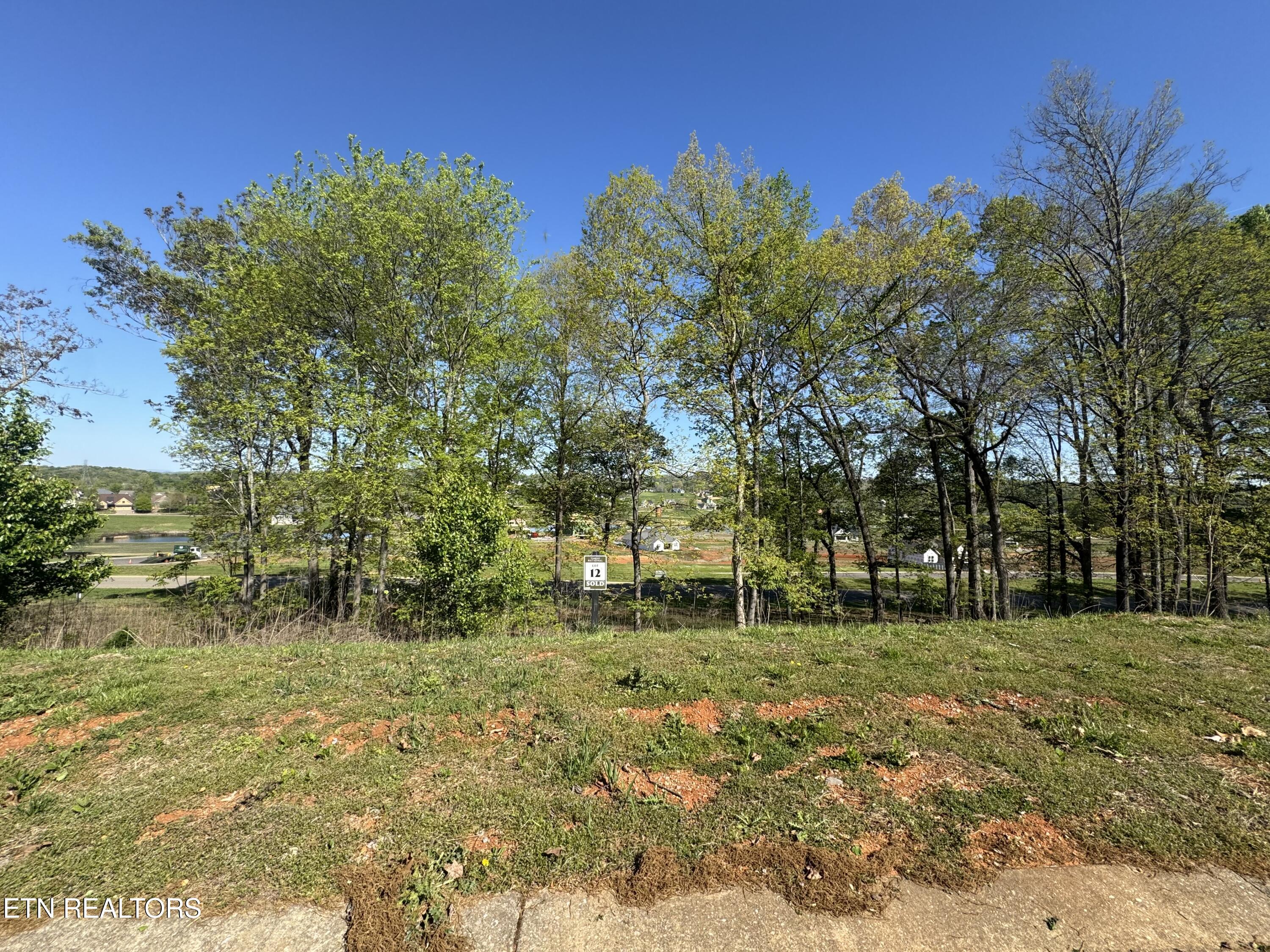 1097 Black Cove Lane Loudon TN 37774