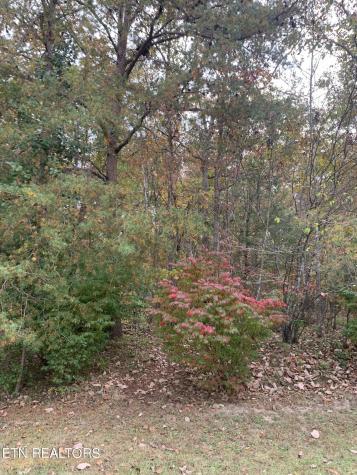 192 Meadowview Drive Crossville TN 38558