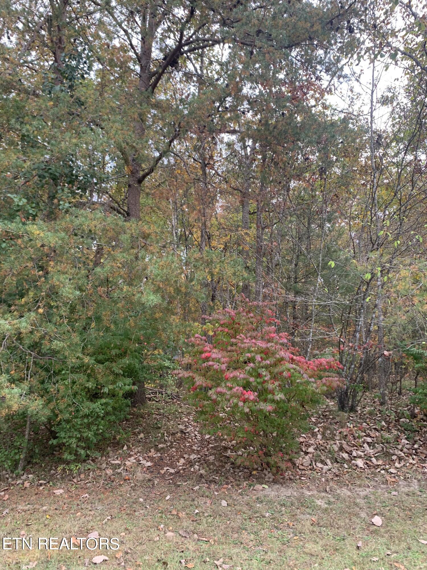 192 Meadowview Drive Crossville TN 38558
