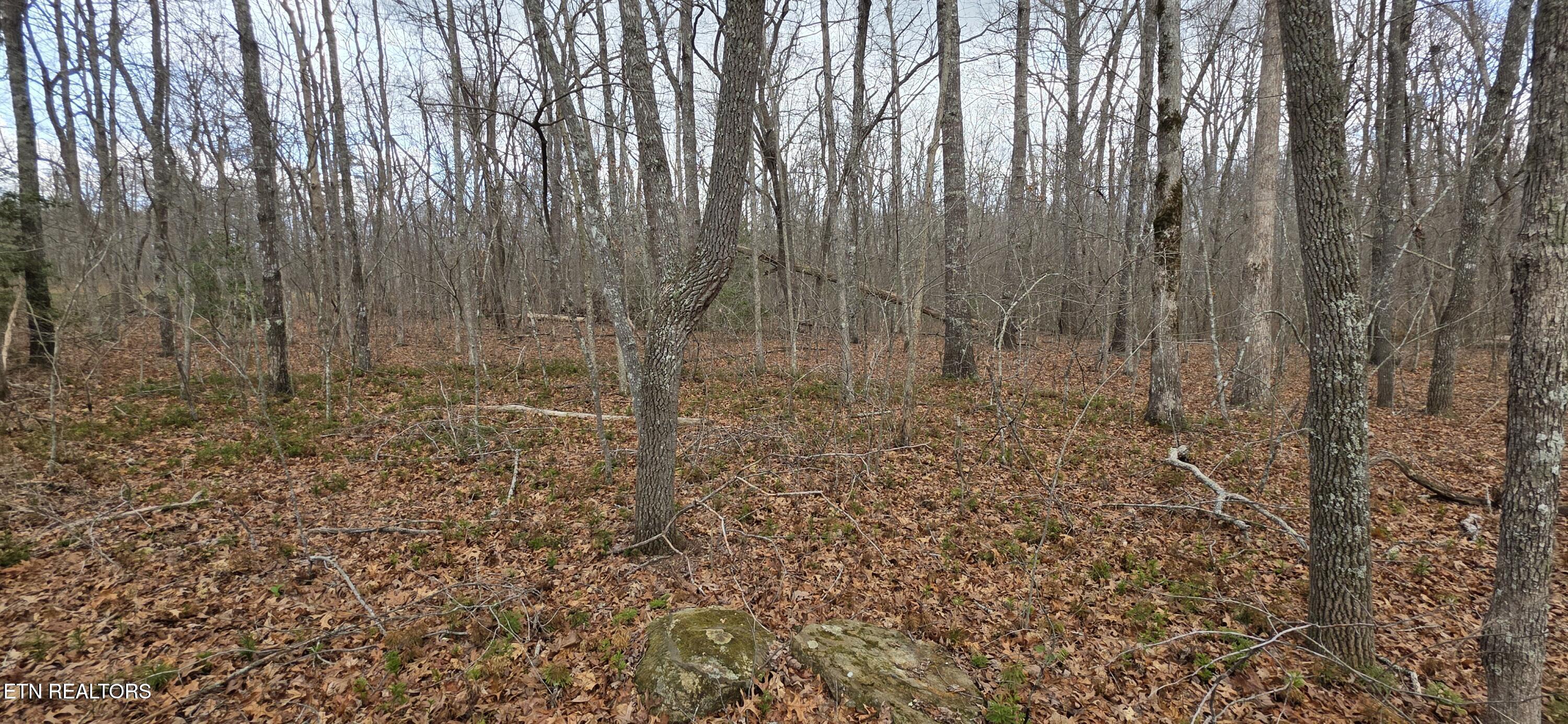 13 Pond Road Monterey TN 38574