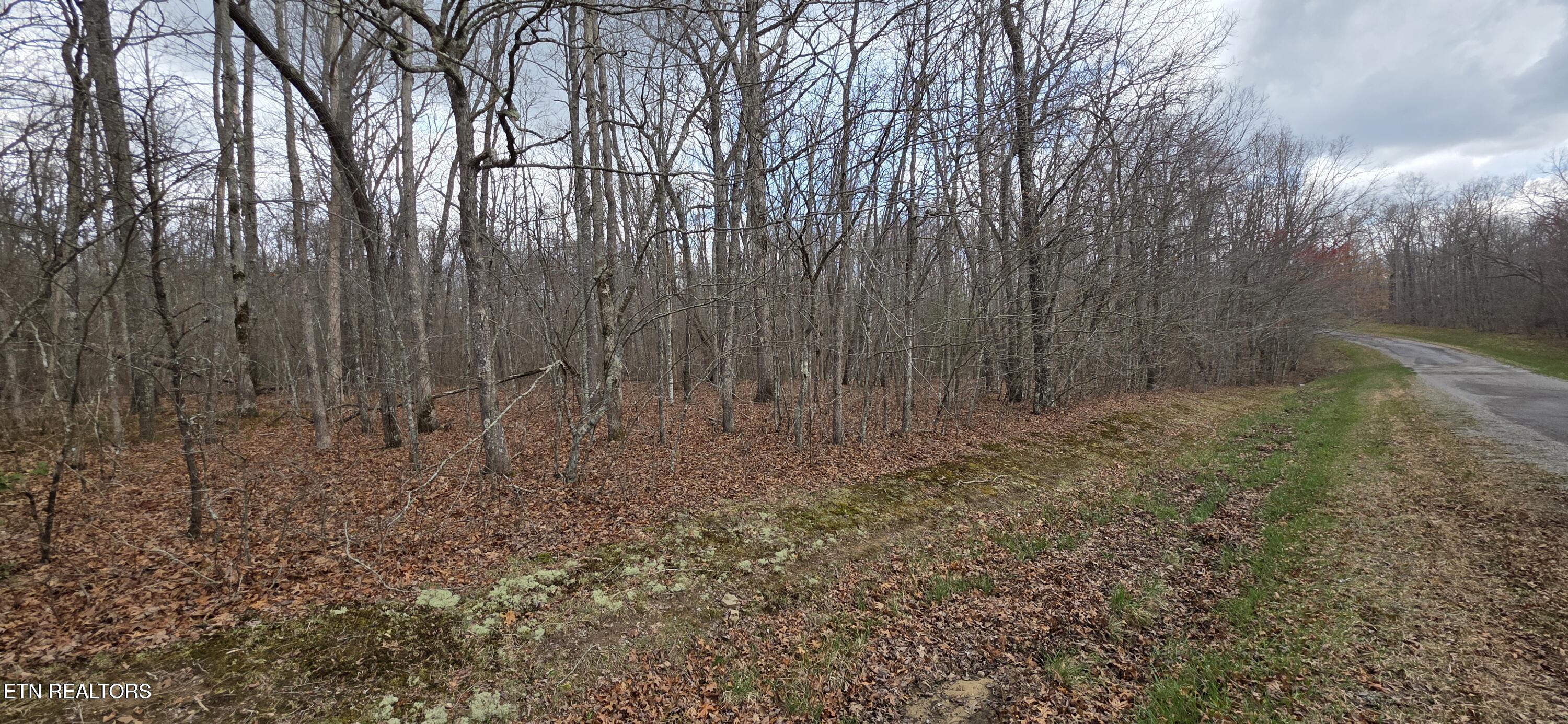 13 Pond Road Monterey TN 38574