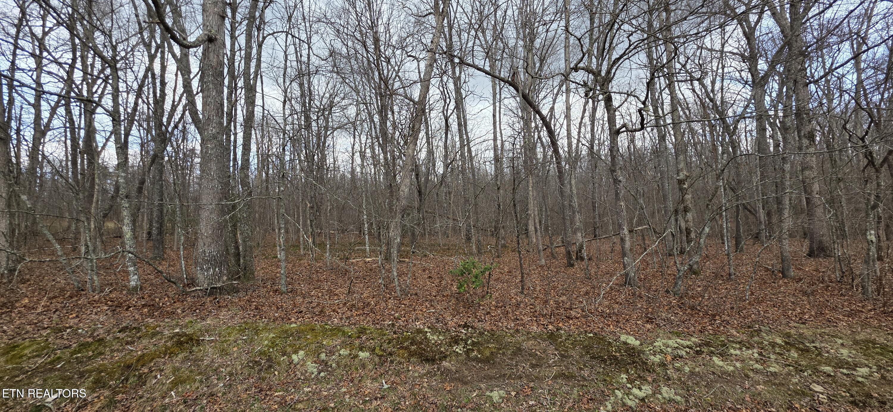 13 Pond Road Monterey TN 38574
