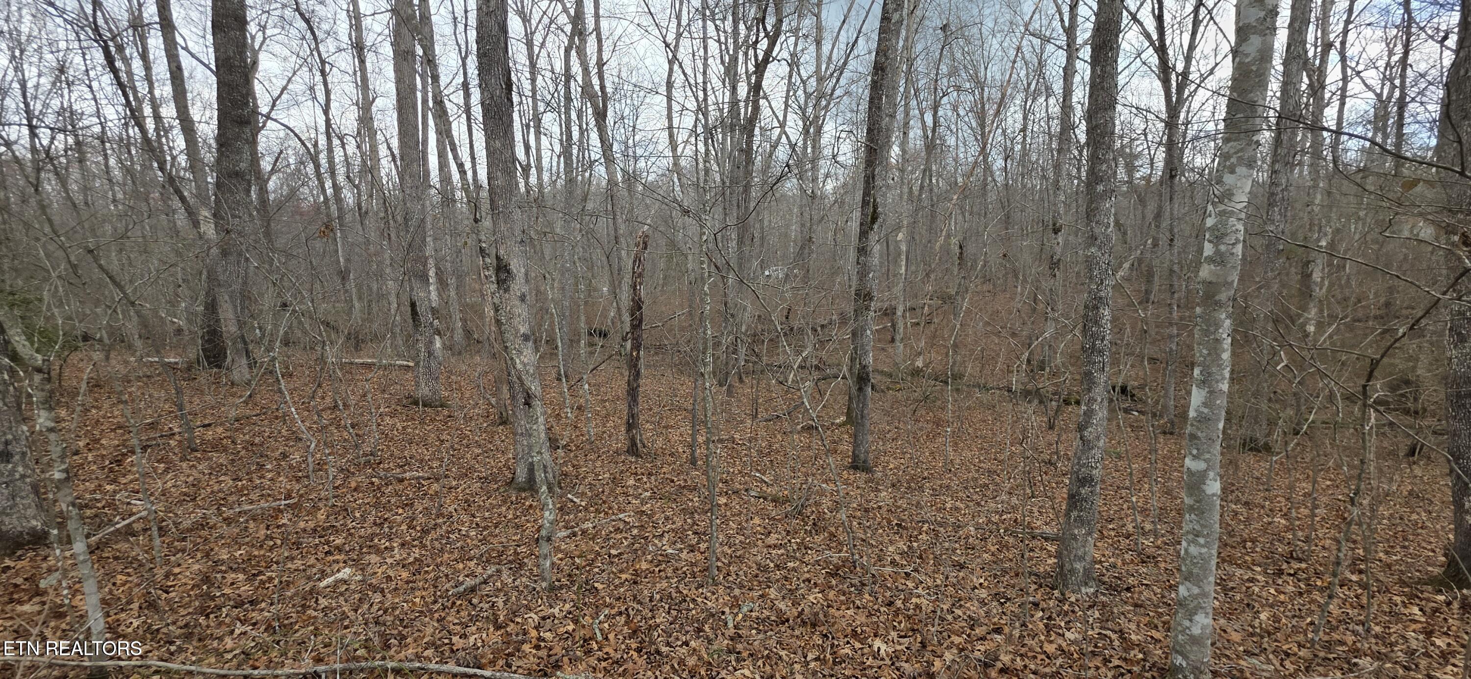 13 Pond Road Monterey TN 38574