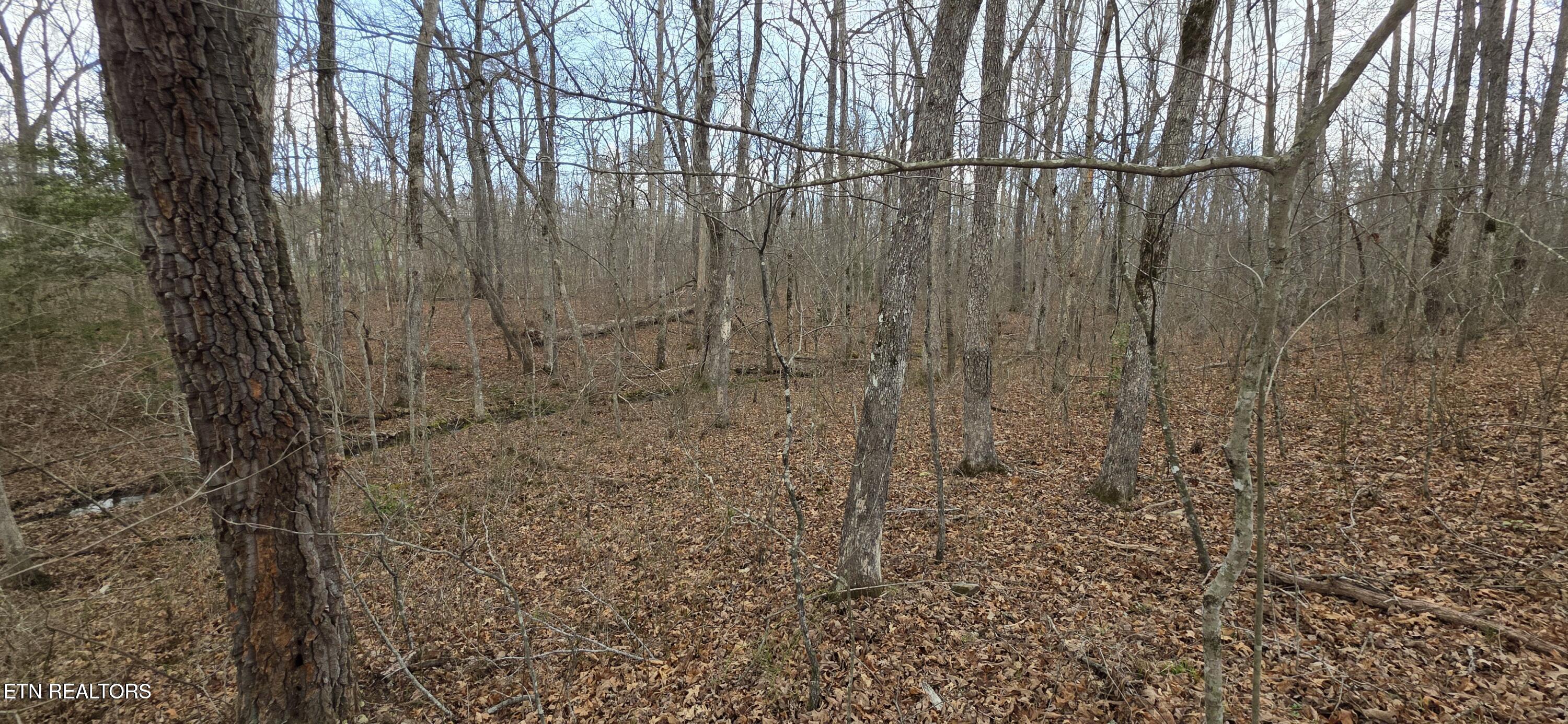 13 Pond Road Monterey TN 38574