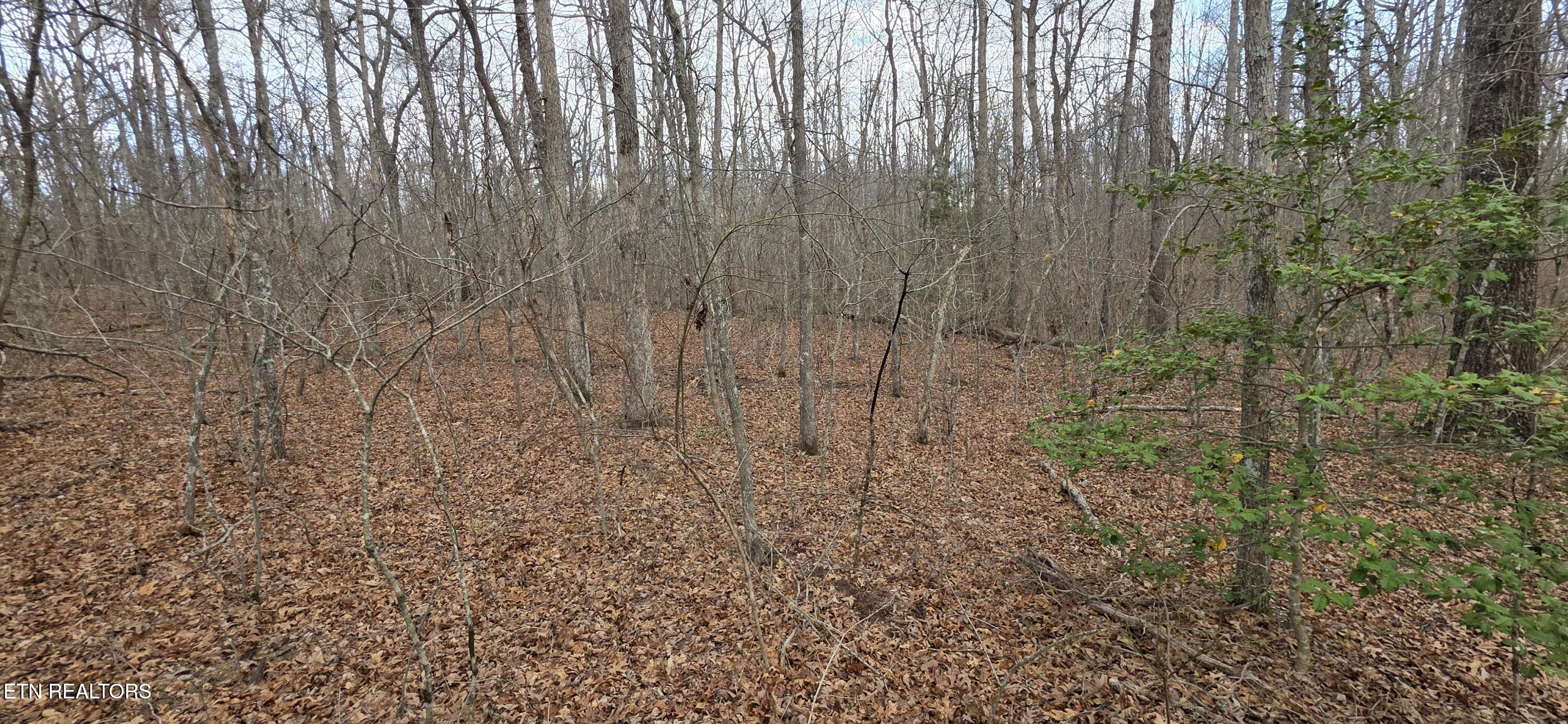 13 Pond Road Monterey TN 38574