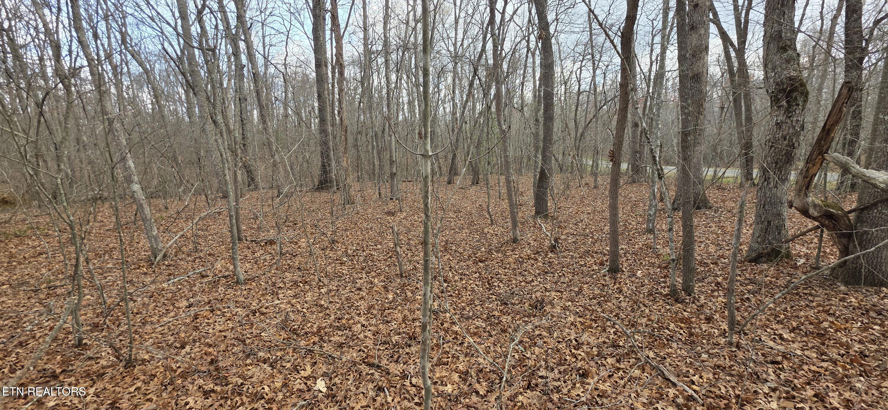 13 Pond Road Monterey TN 38574