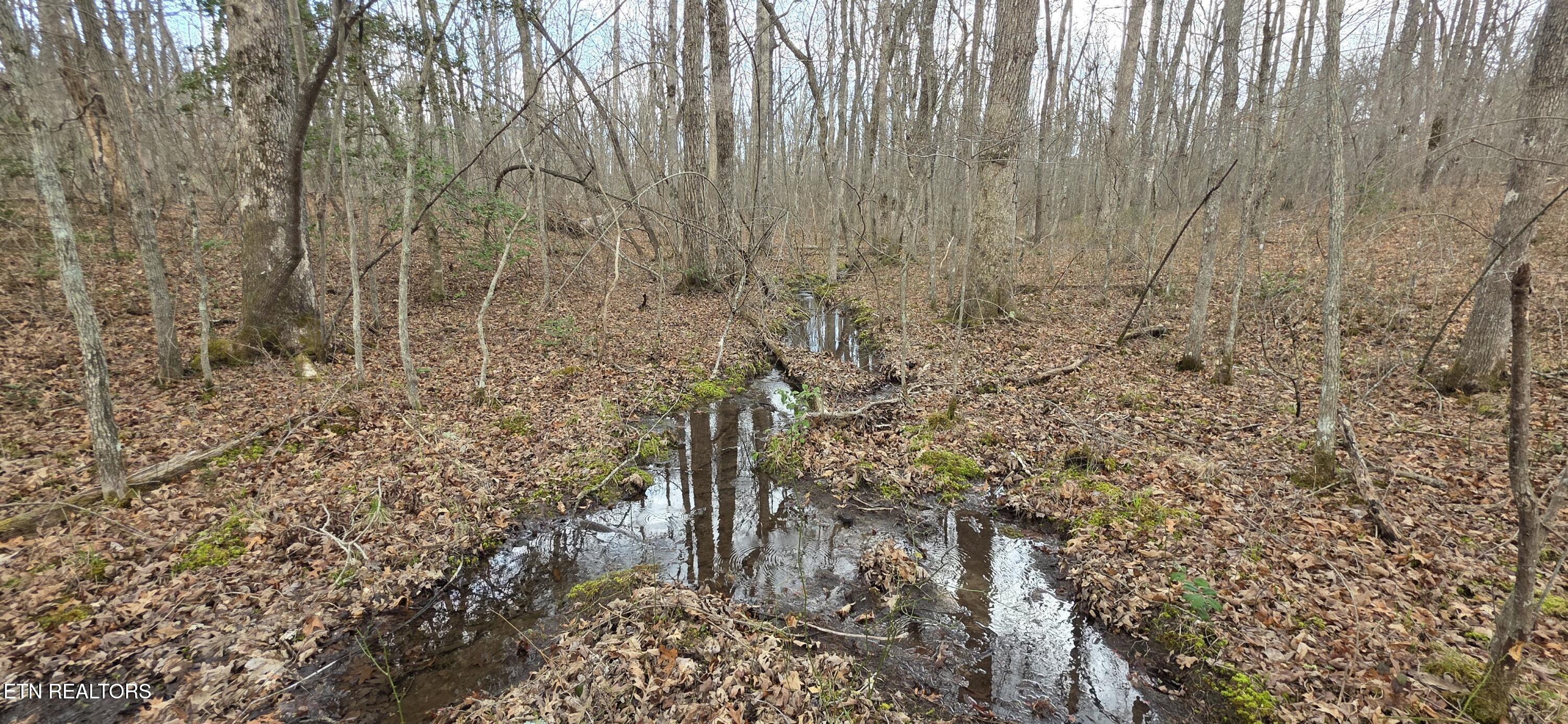 13 Pond Road Monterey TN 38574