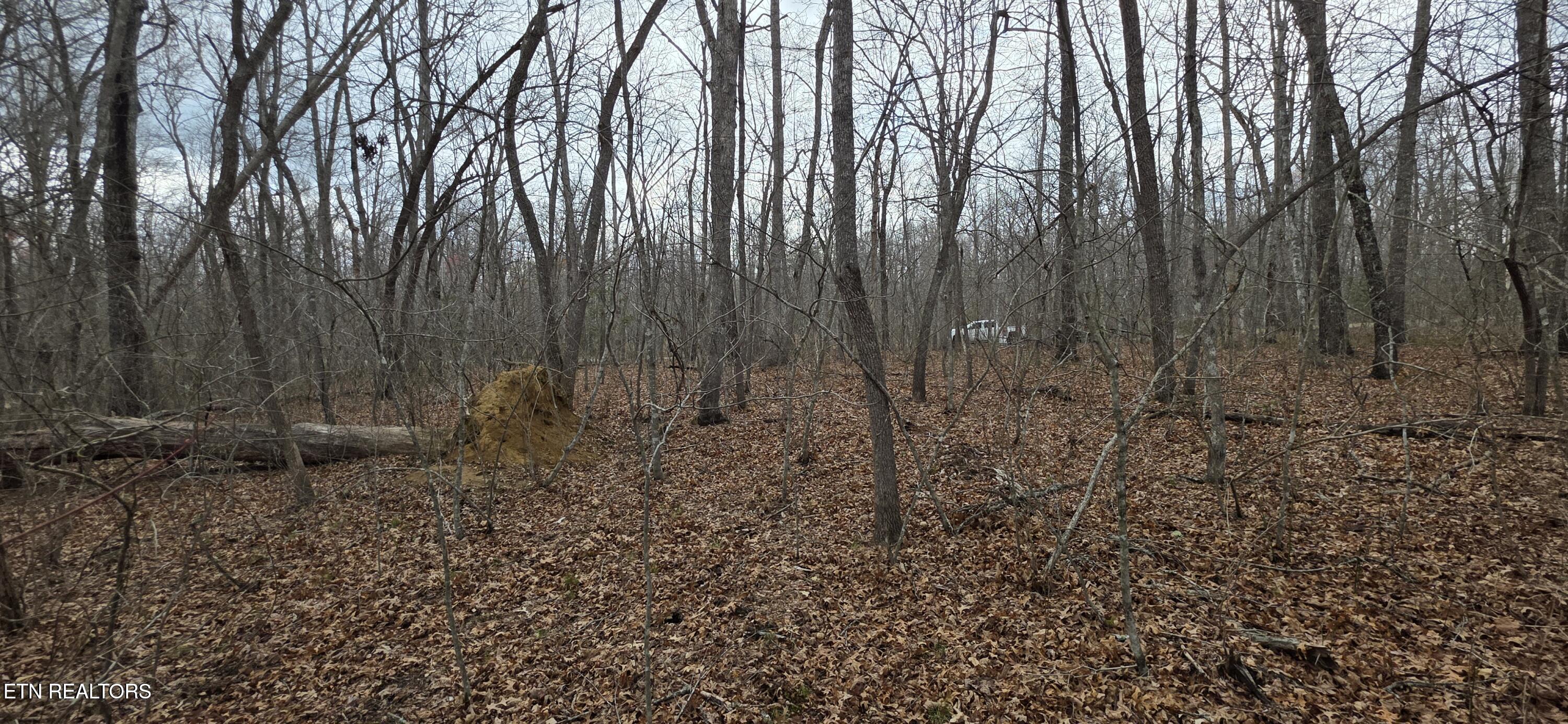 13 Pond Road Monterey TN 38574
