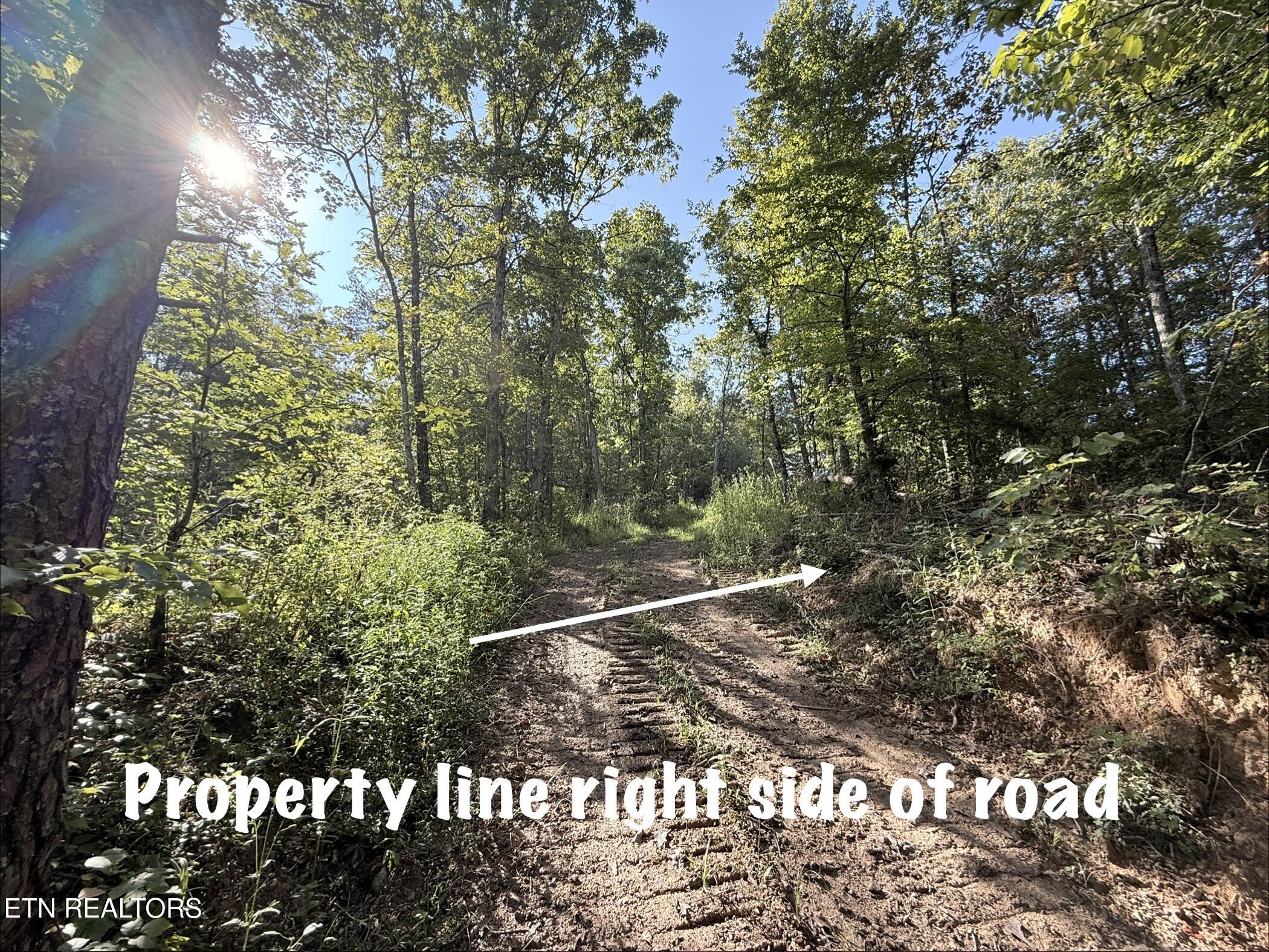 Lot 1 Big Four Road Lafollette TN 37766