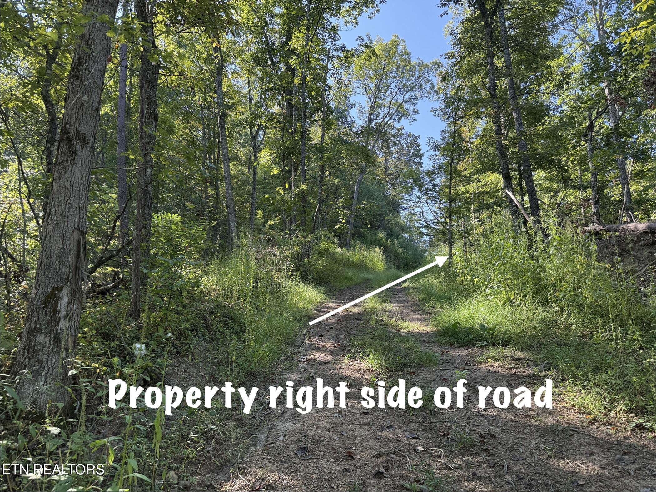 Lot 1 Big Four Road Lafollette TN 37766