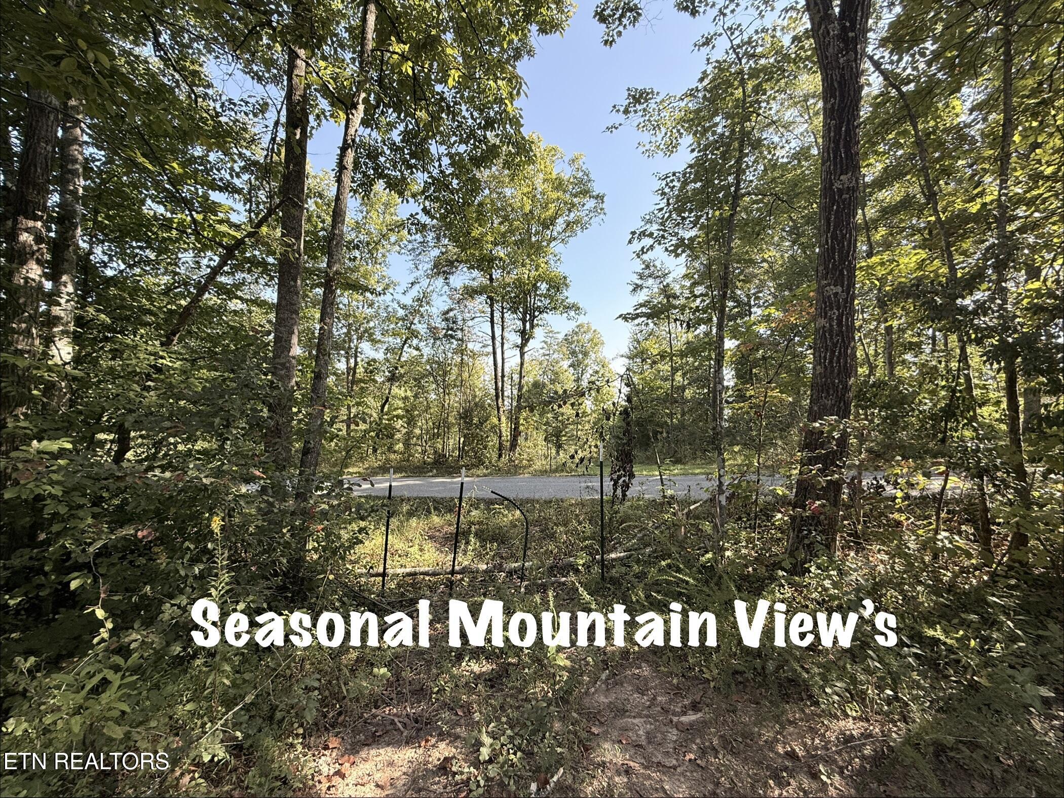 Lot 1 Big Four Road Lafollette TN 37766