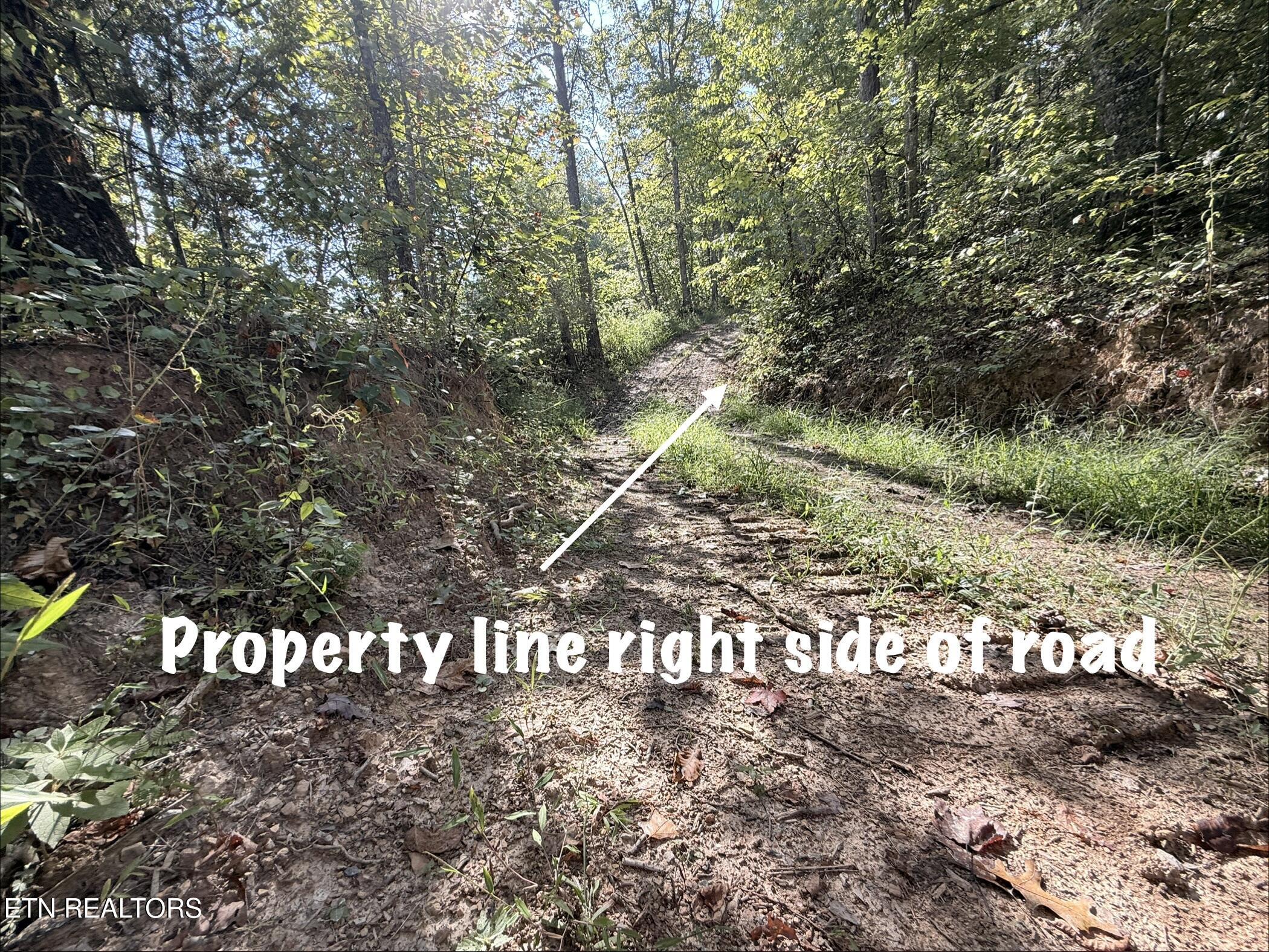 Lot 1 Big Four Road Lafollette TN 37766