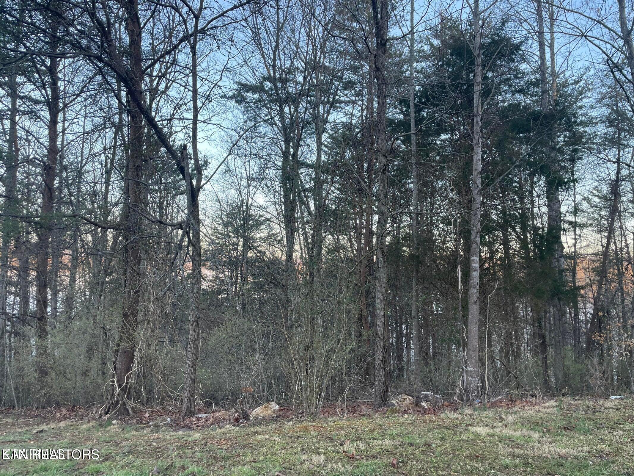 Lot 14 Hiwassee Drive Jacksboro TN 37757