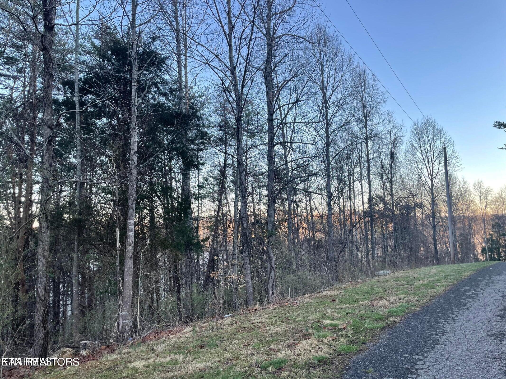 Lot 14 Hiwassee Drive Jacksboro TN 37757