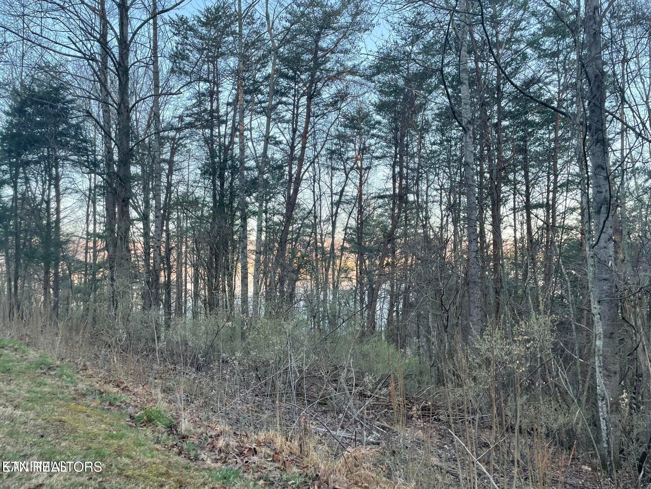 Lot 14 Hiwassee Drive Jacksboro TN 37757