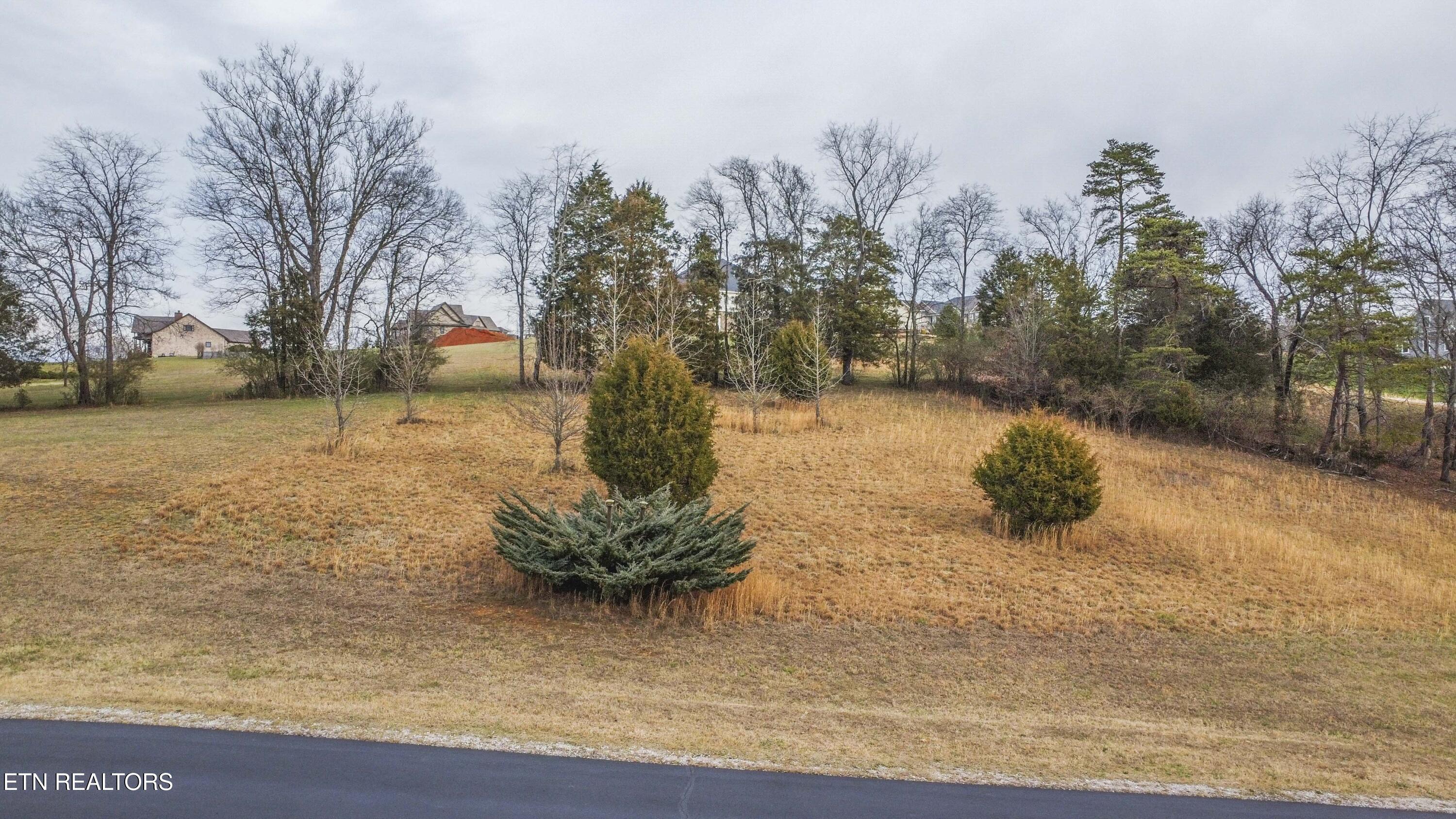 501 W Shore Drive Rockwood TN 37854