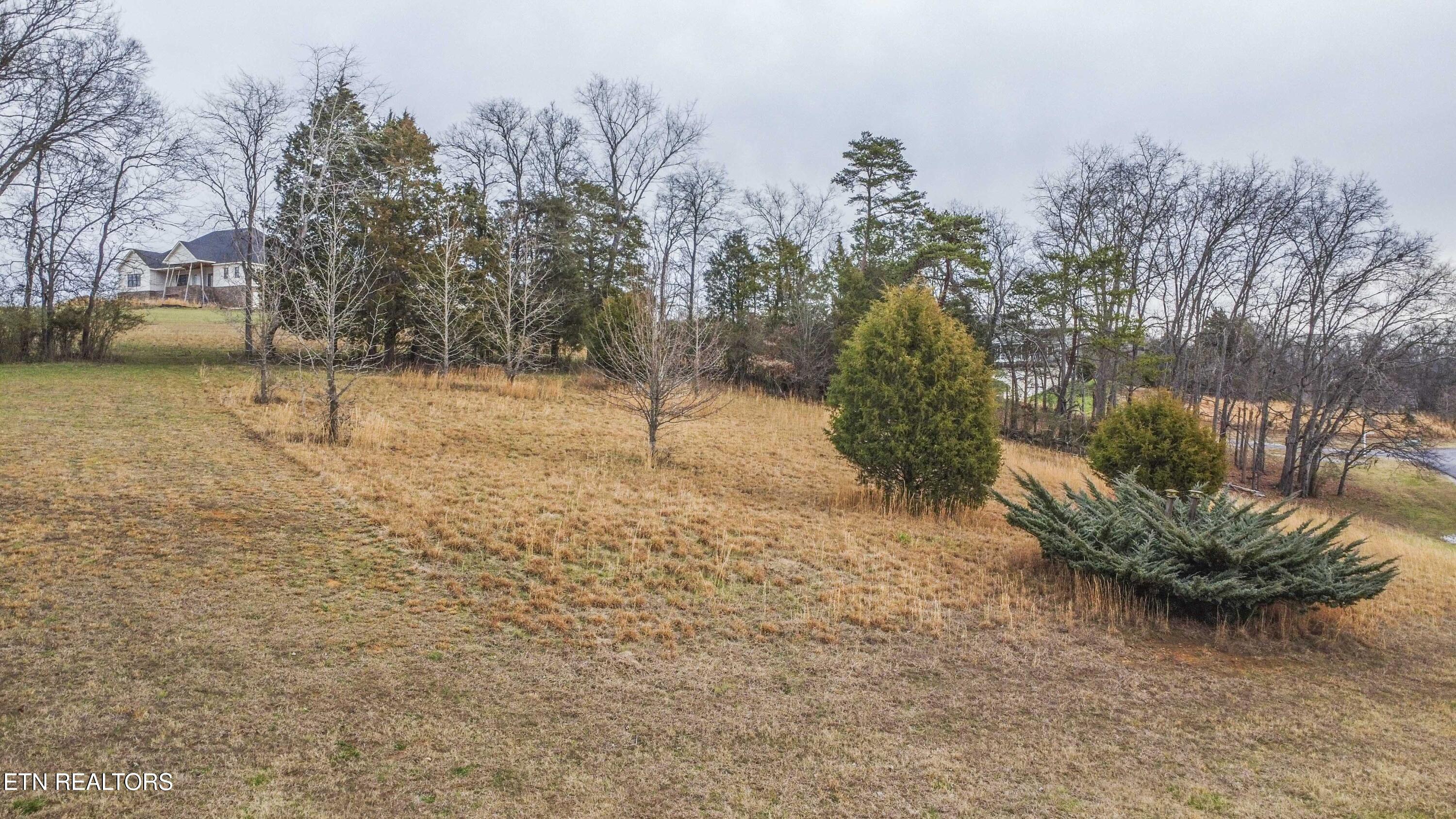 501 W Shore Drive Rockwood TN 37854