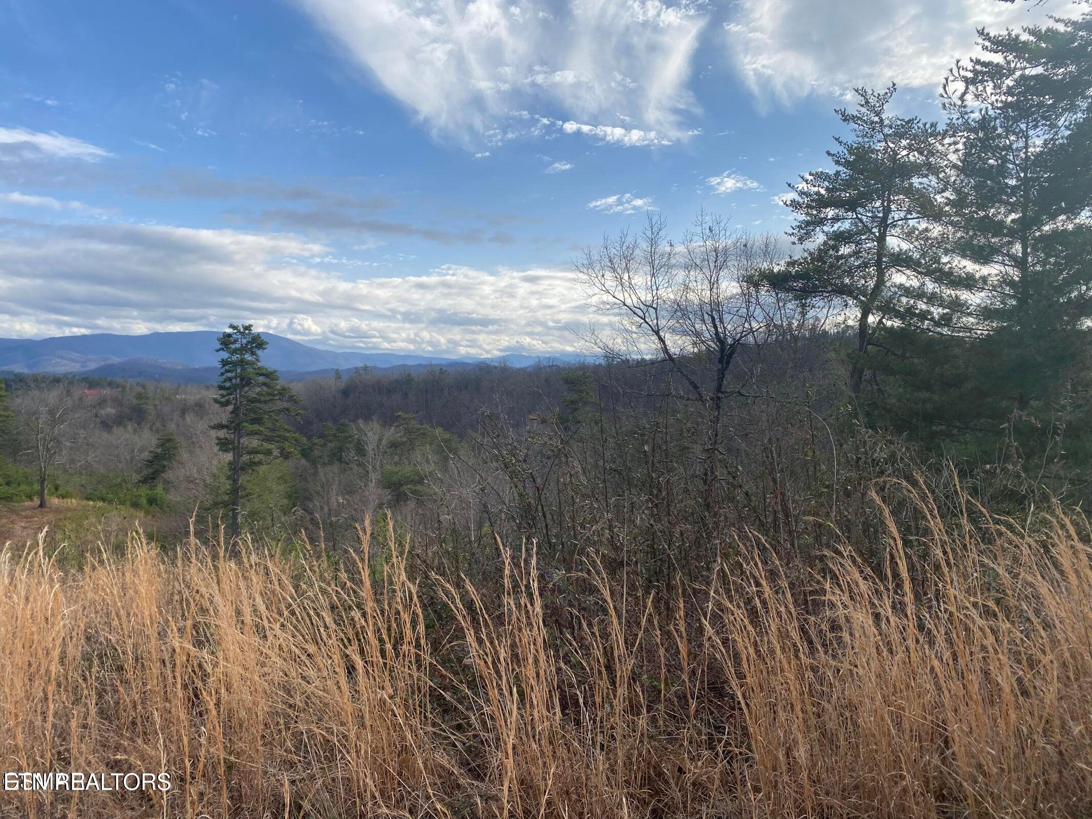 1440 Goose Gap Road Sevierville TN 37876