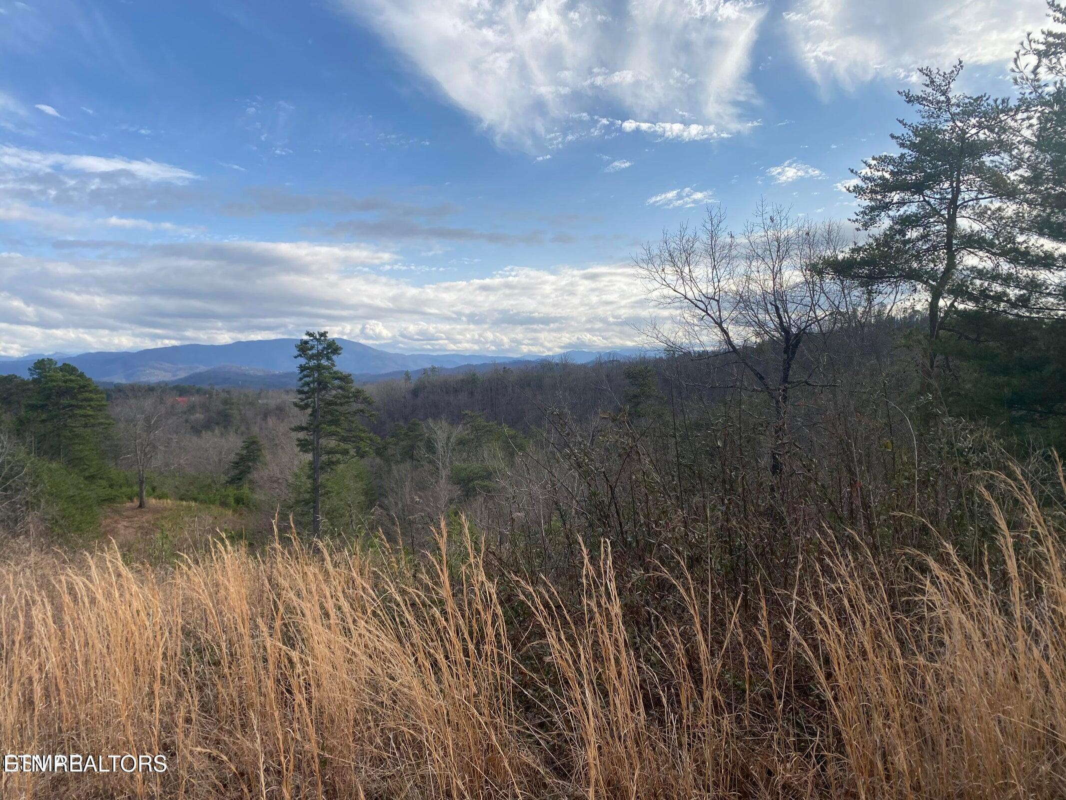 1440 Goose Gap Road Sevierville TN 37876