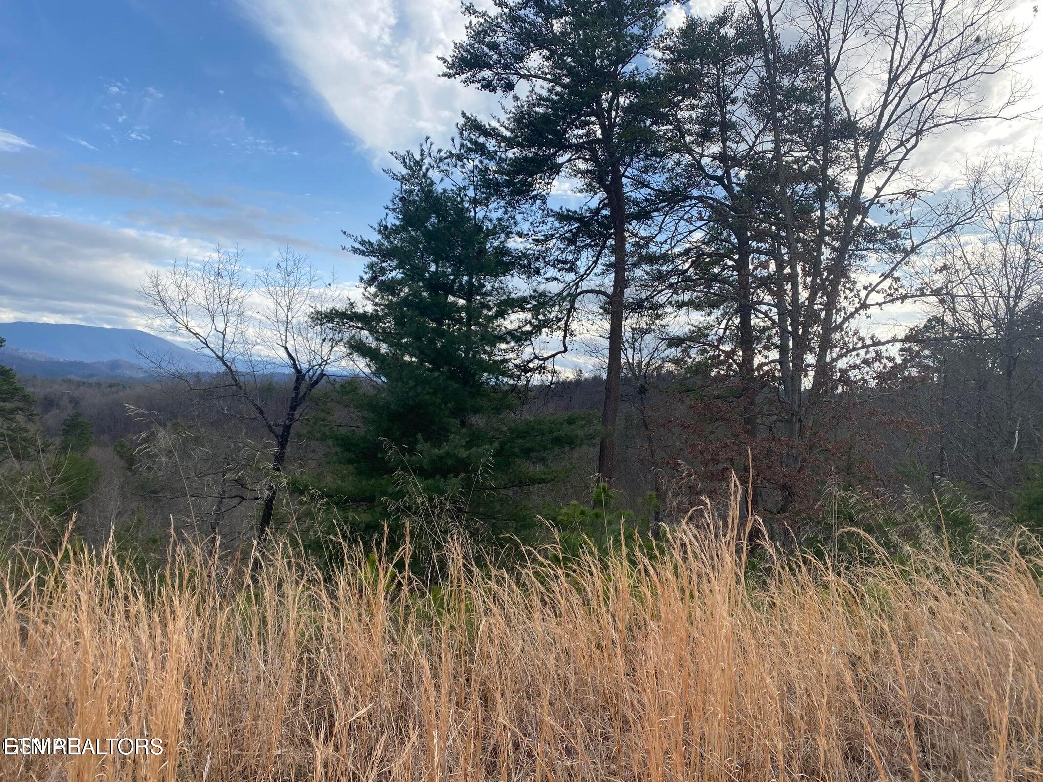 1440 Goose Gap Road Sevierville TN 37876