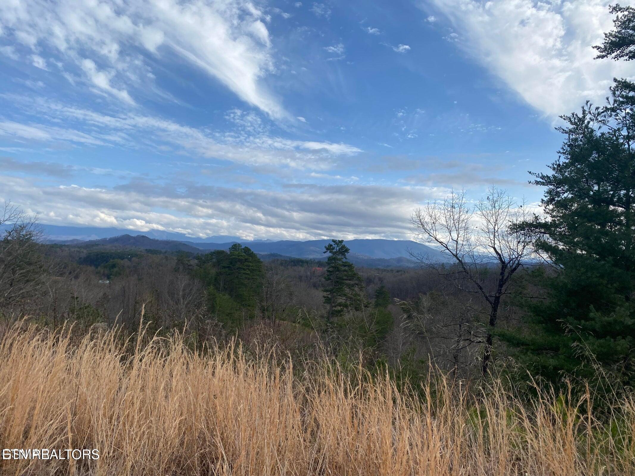 1440 Goose Gap Road Sevierville TN 37876