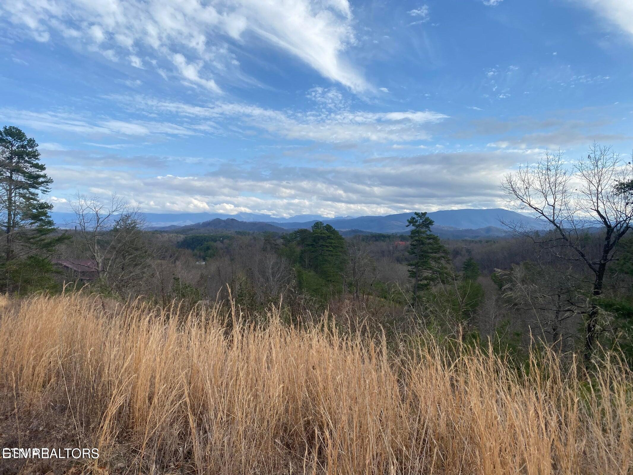 1440 Goose Gap Road Sevierville TN 37876