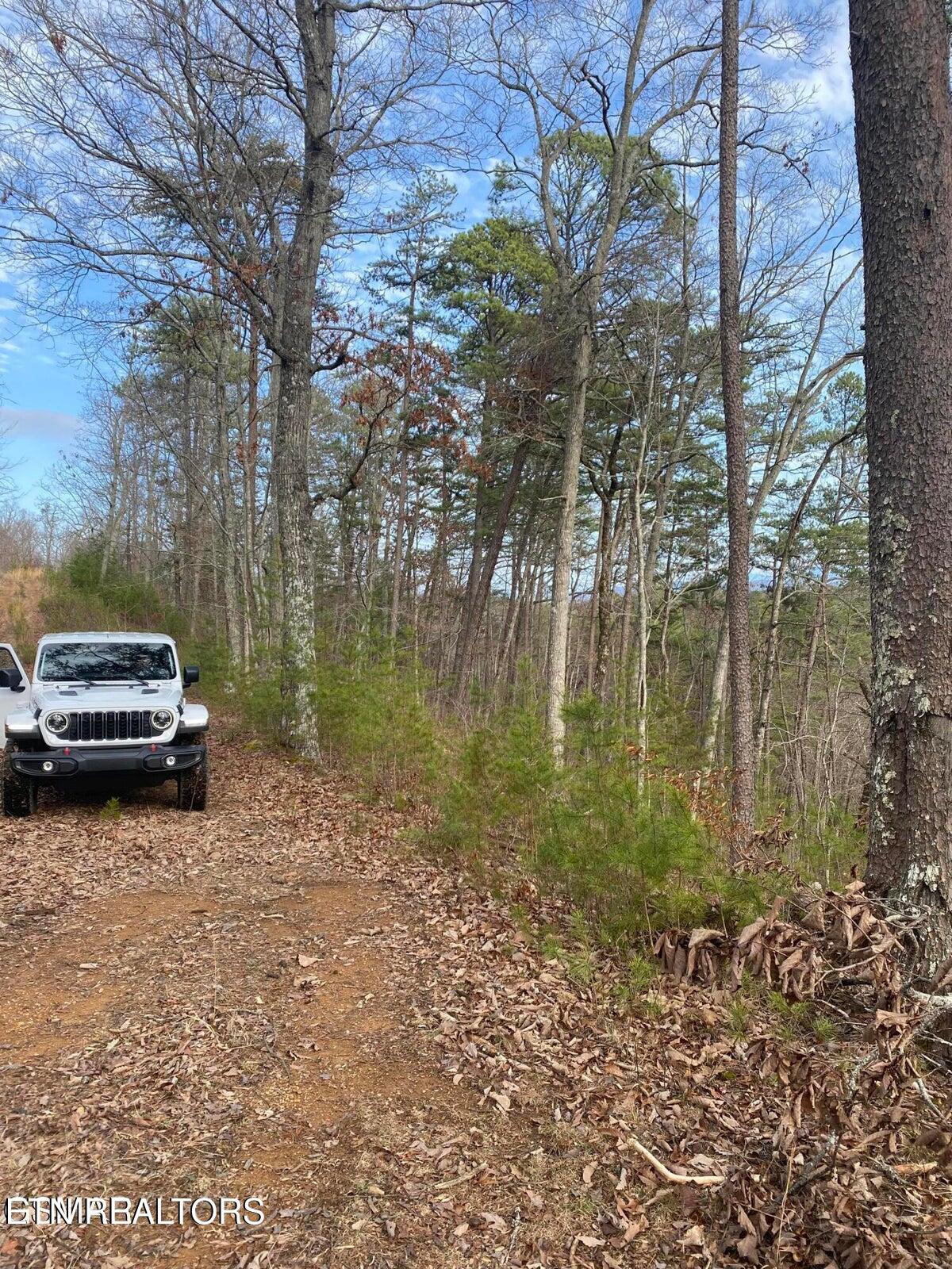 1440 Goose Gap Road Sevierville TN 37876