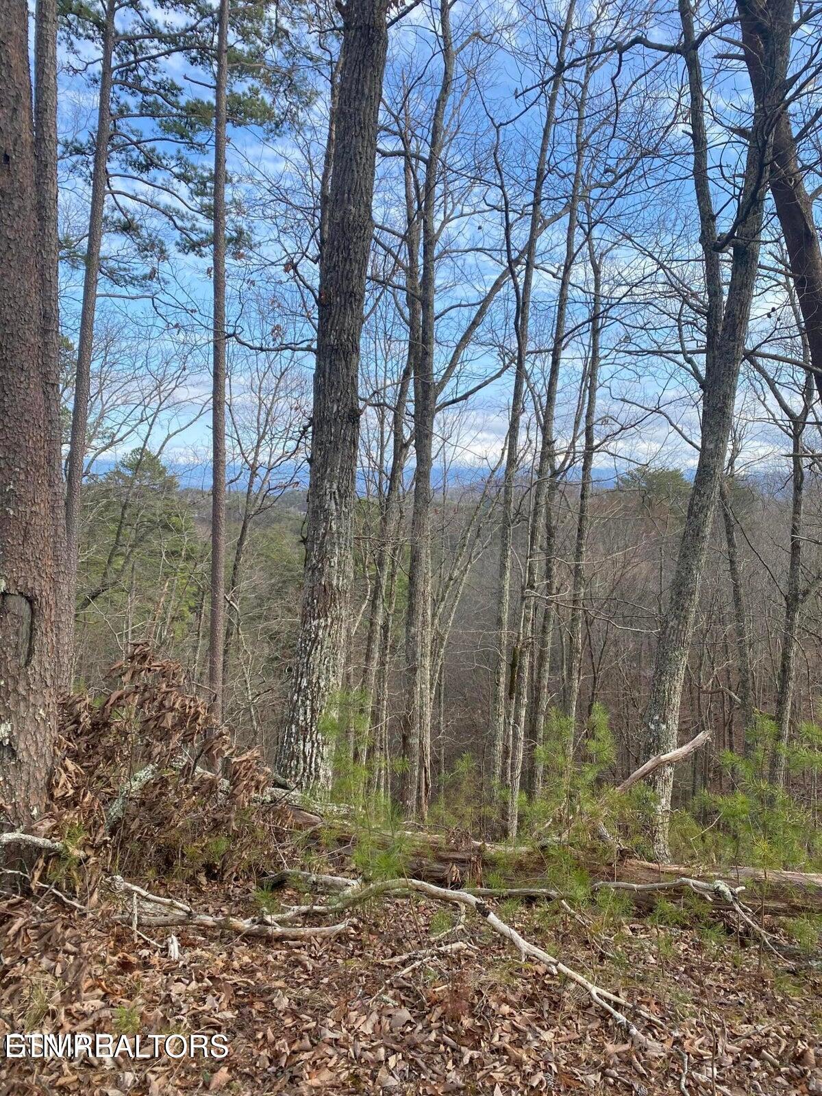 1440 Goose Gap Road Sevierville TN 37876