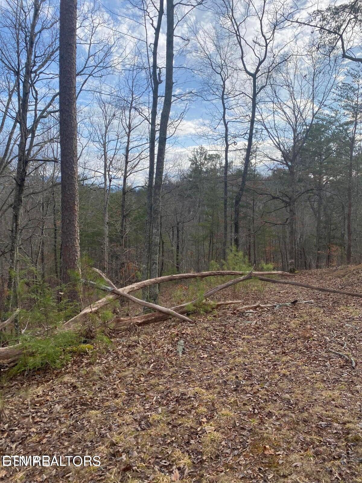 1440 Goose Gap Road Sevierville TN 37876