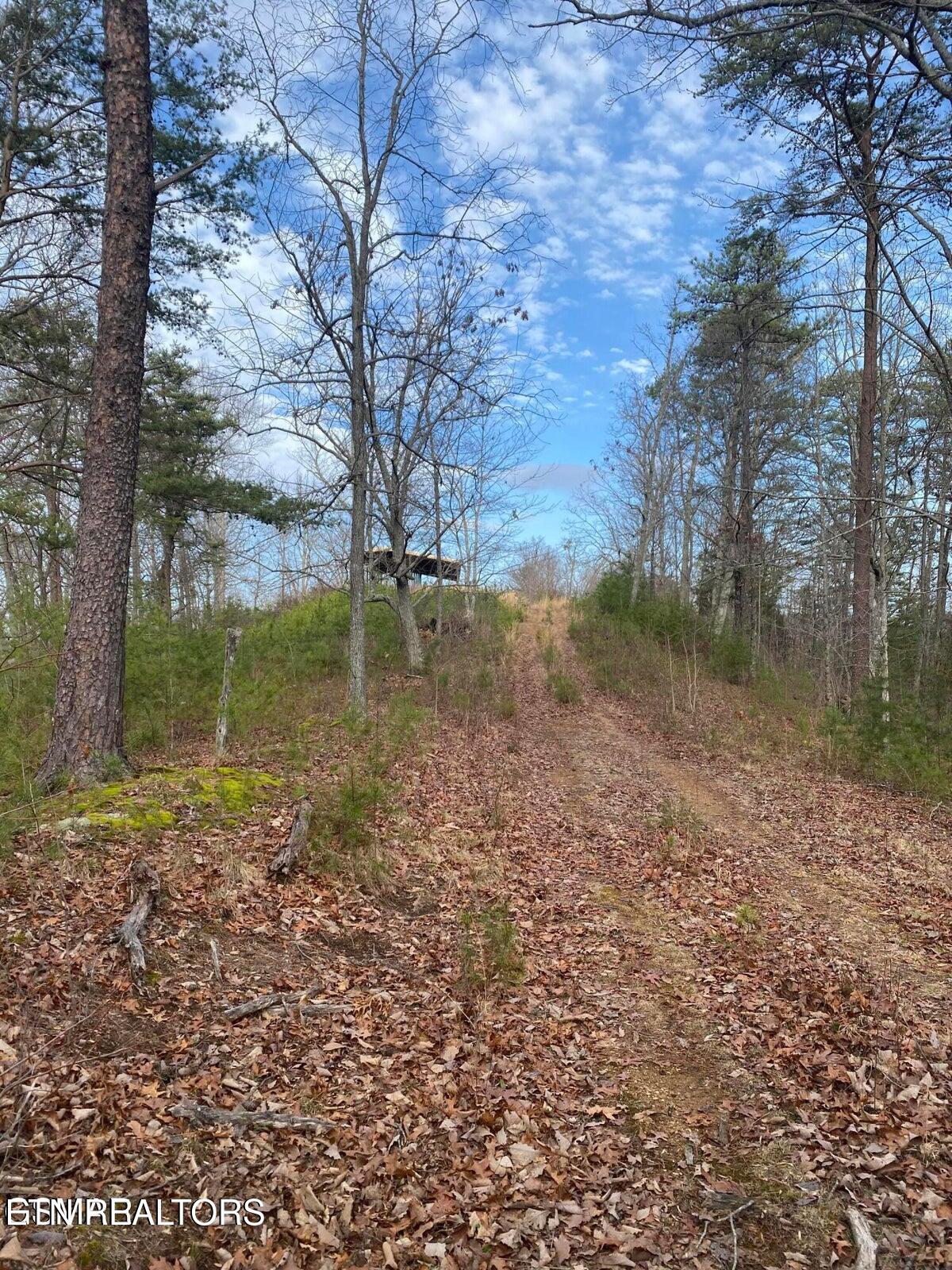 1440 Goose Gap Road Sevierville TN 37876
