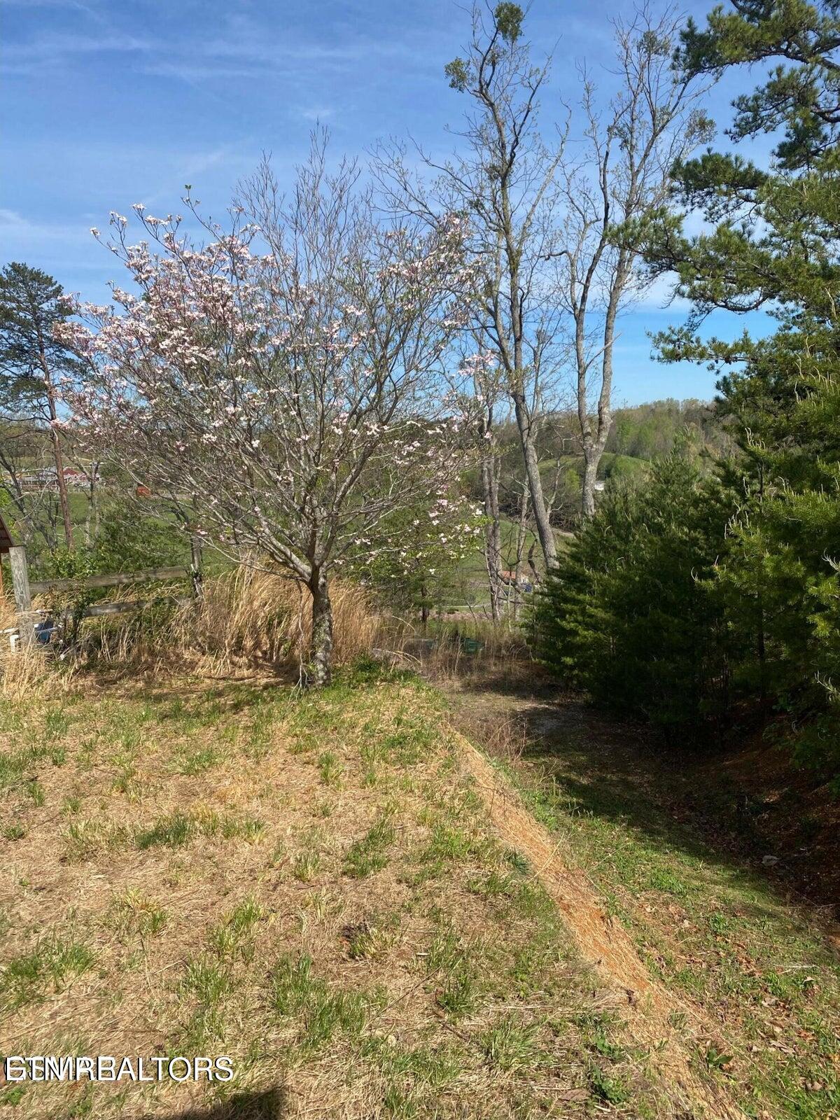 1440 Goose Gap Road Sevierville TN 37876