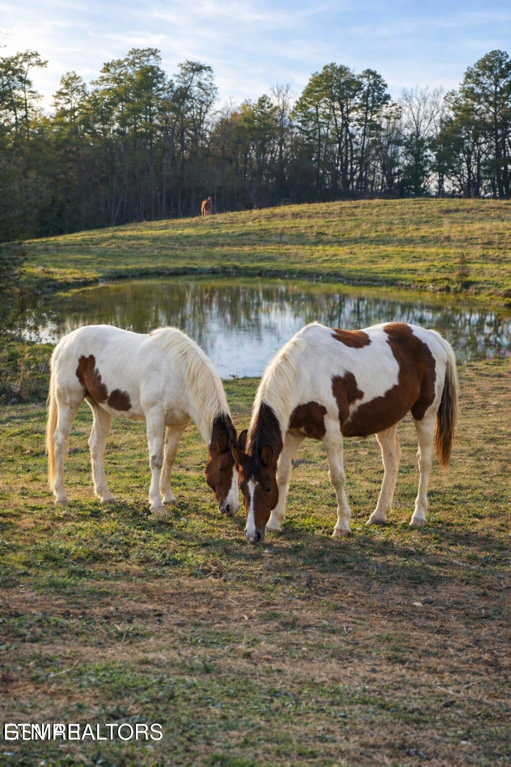 1440 Goose Gap Road Sevierville TN 37876
