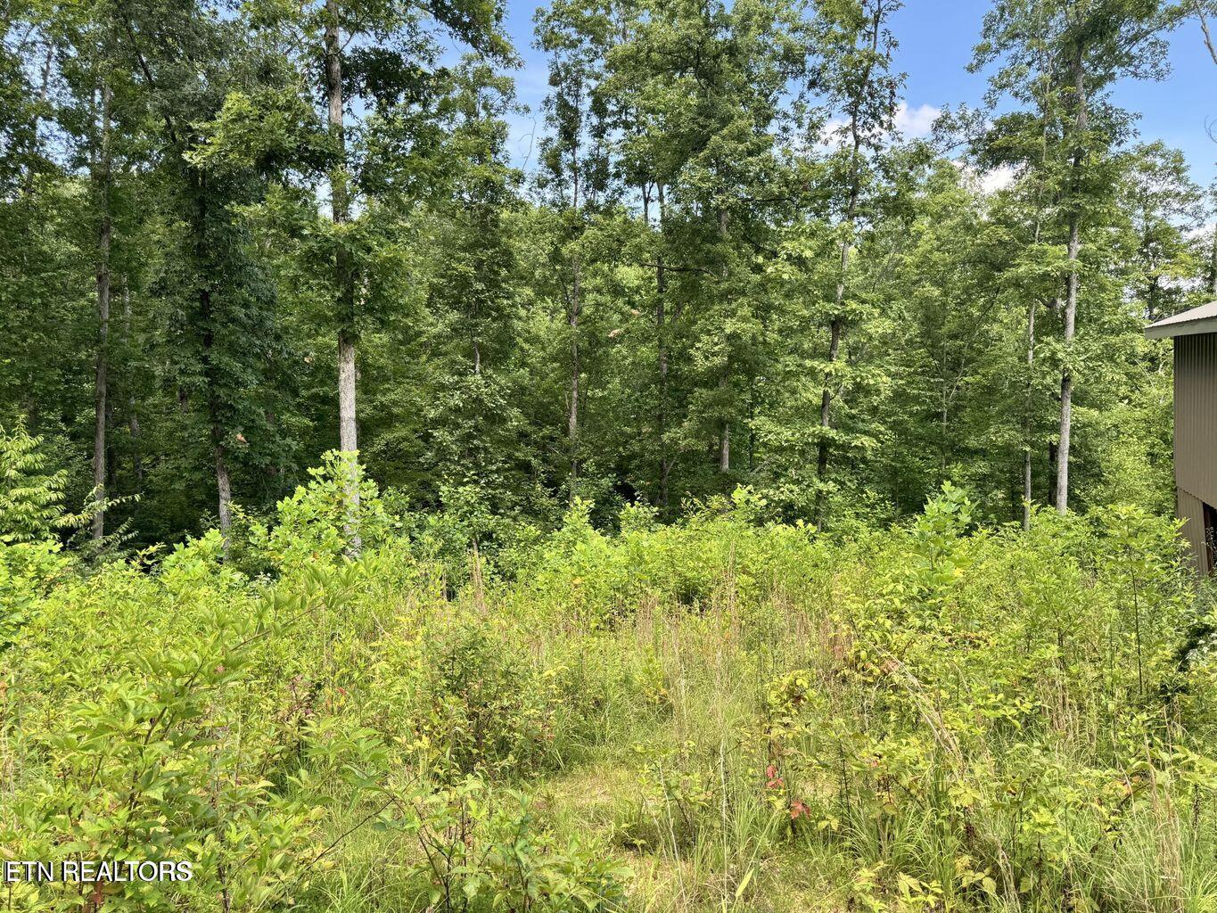 1291 Buck Lane Crawford TN 38554