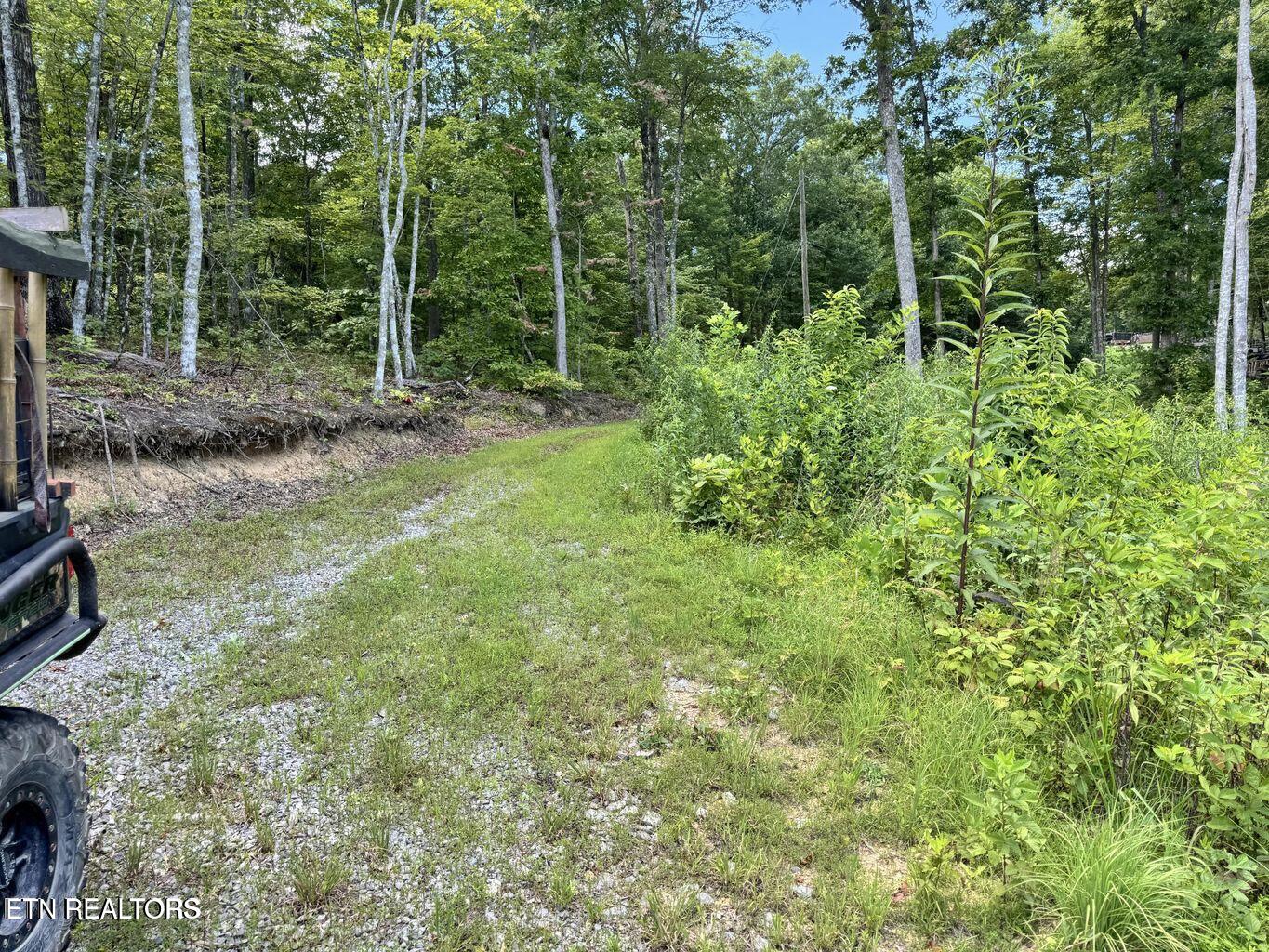 1291 Buck Lane Crawford TN 38554