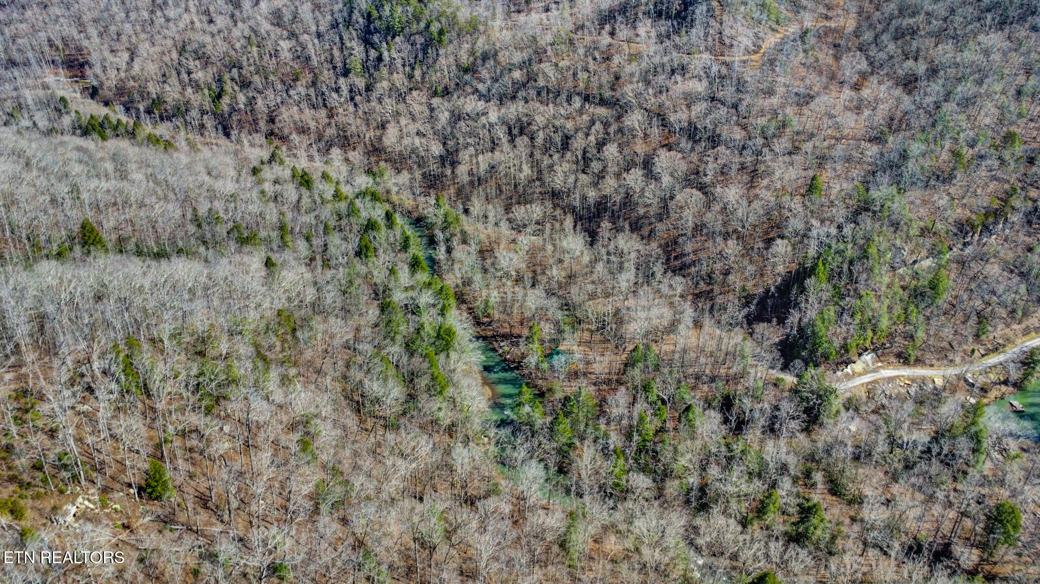 1291 Buck Lane Crawford TN 38554