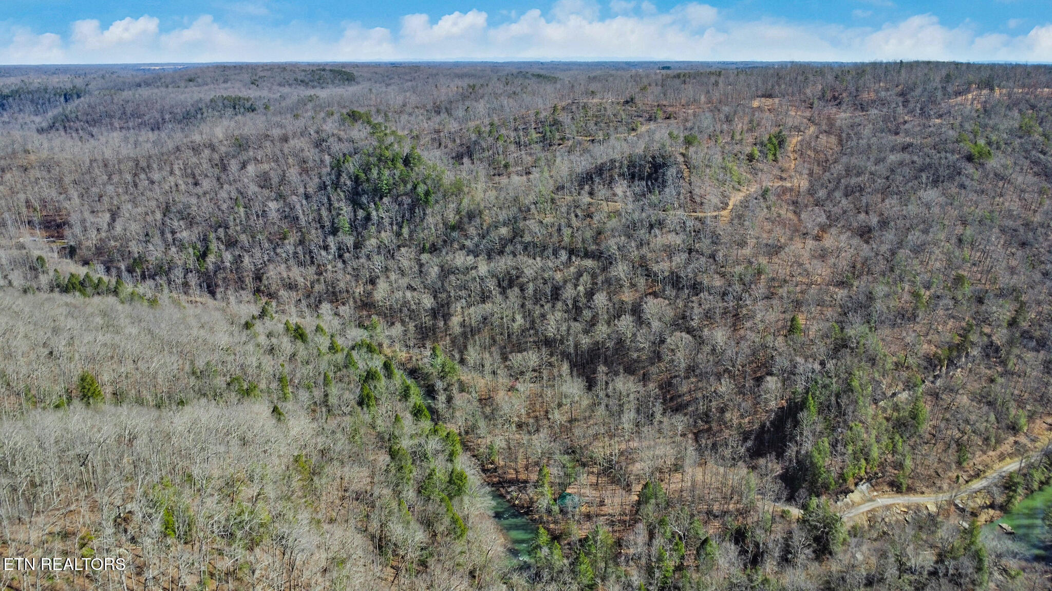 1291 Buck Lane Crawford TN 38554